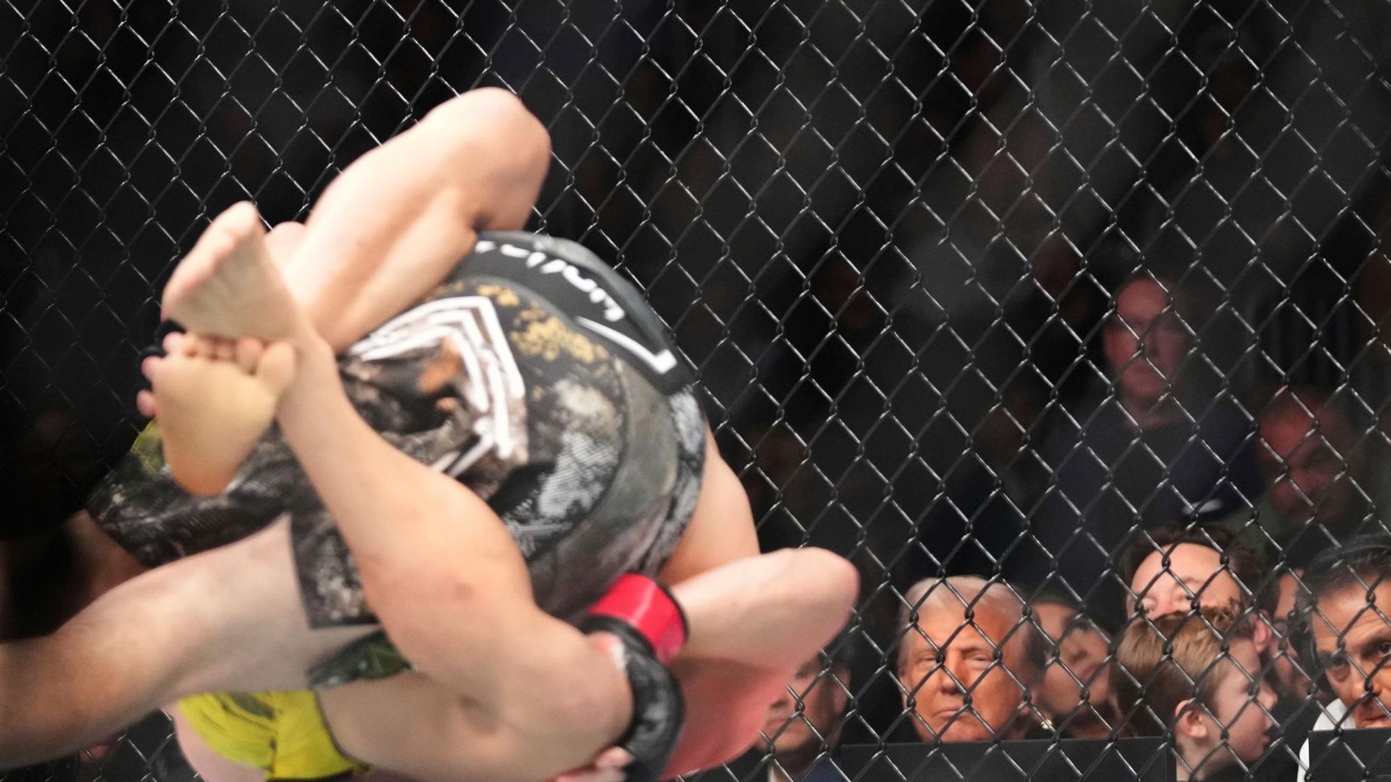Trump und Musk mit Sohn beim Ultimate Fighting