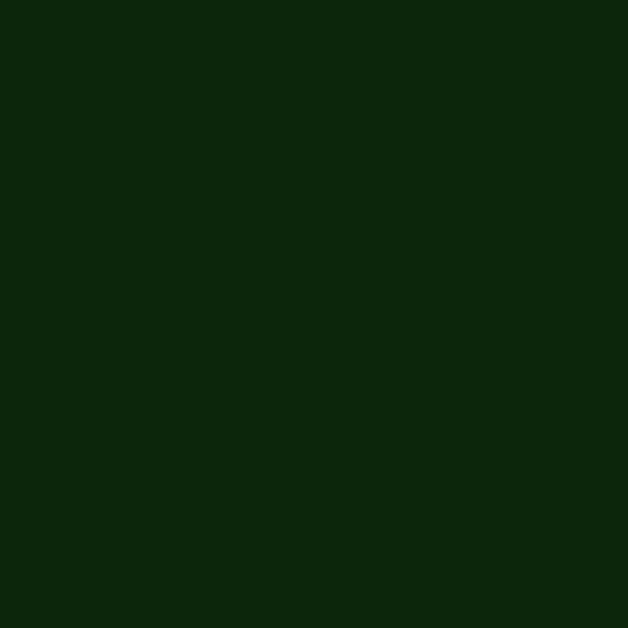 G7-Gipfel
