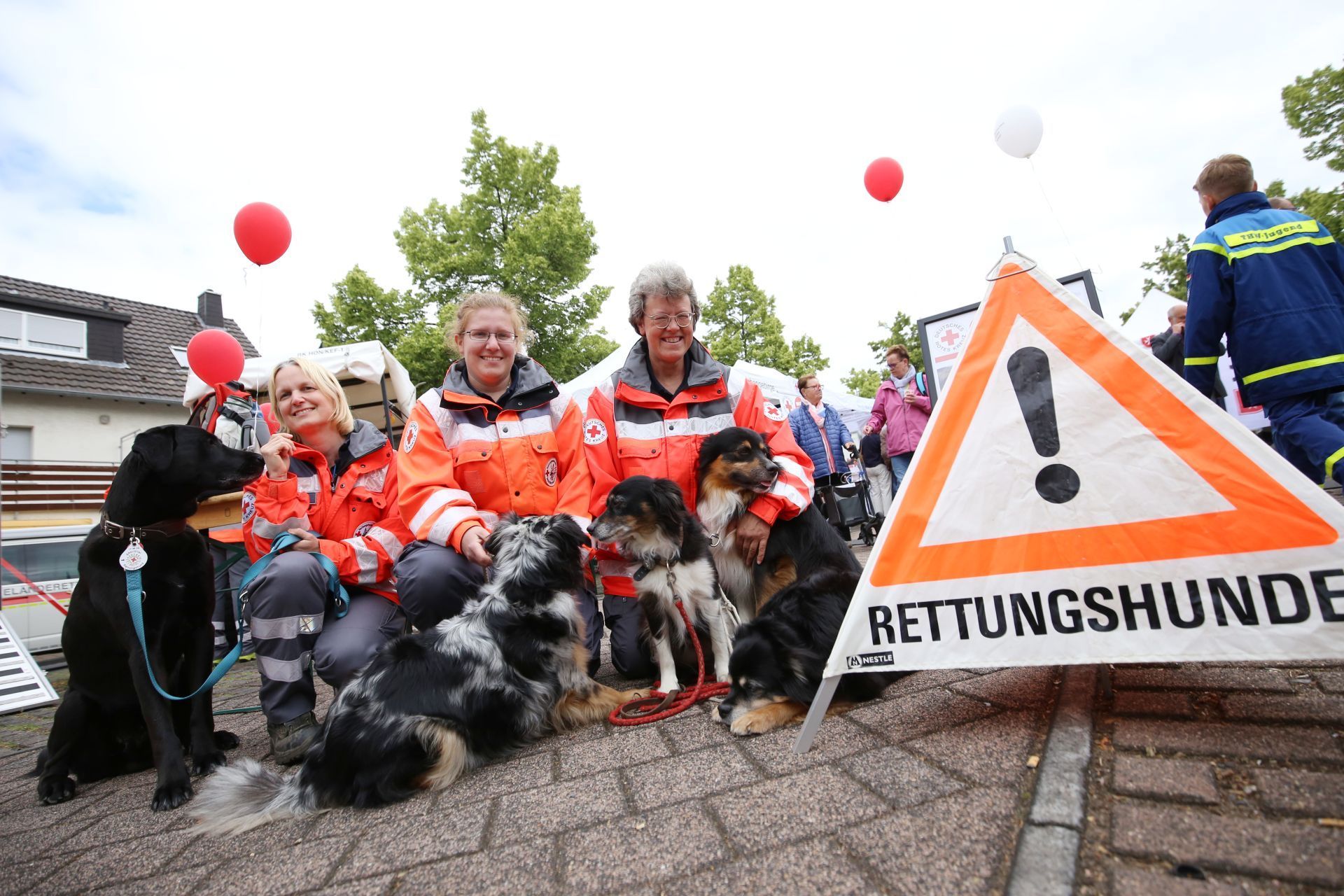 Drei Frauen mit mehreren Hunden.