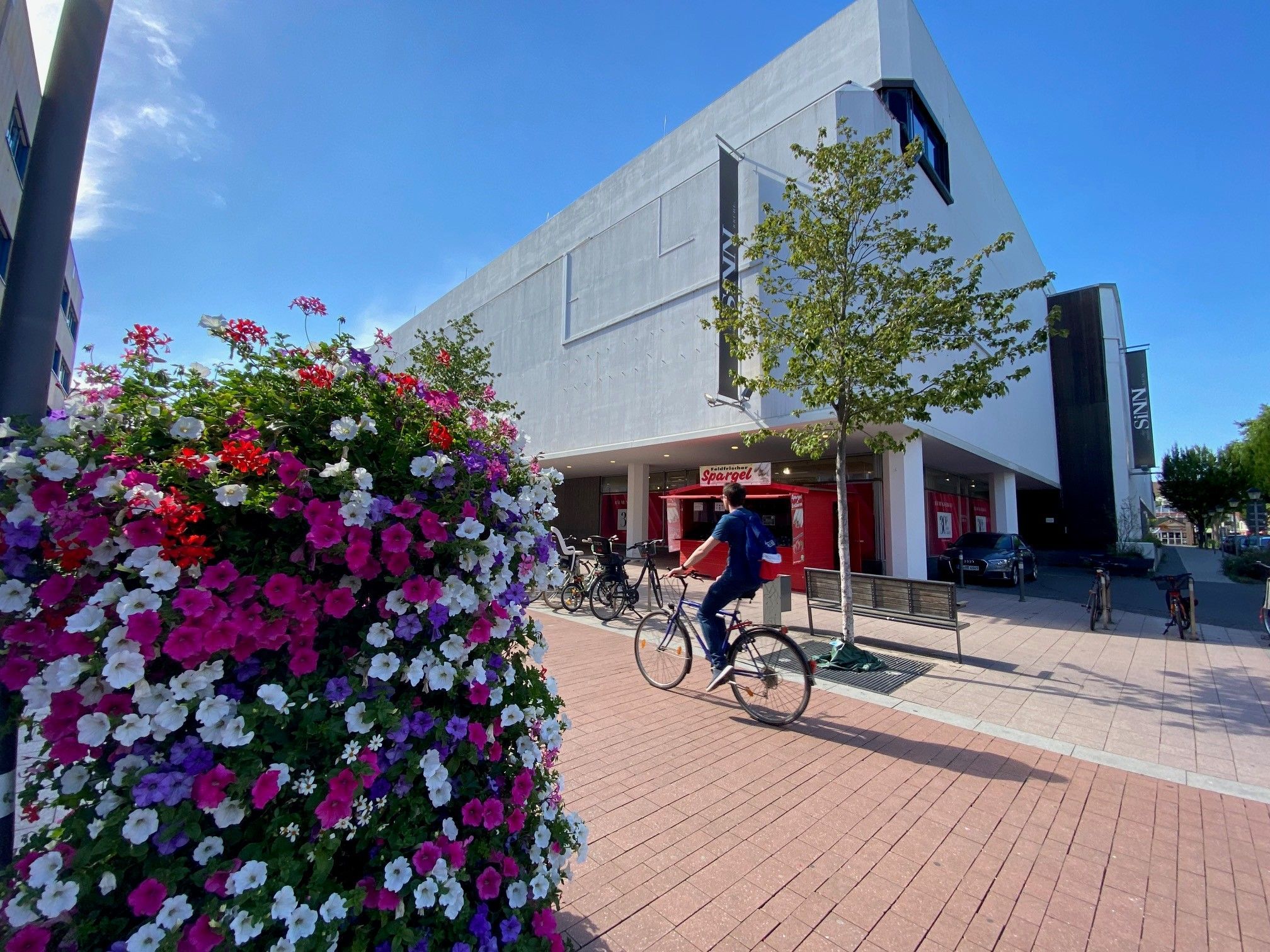 Zu sehen sind Blumen vor einem Gebäude in der Brühler Innenstadt.