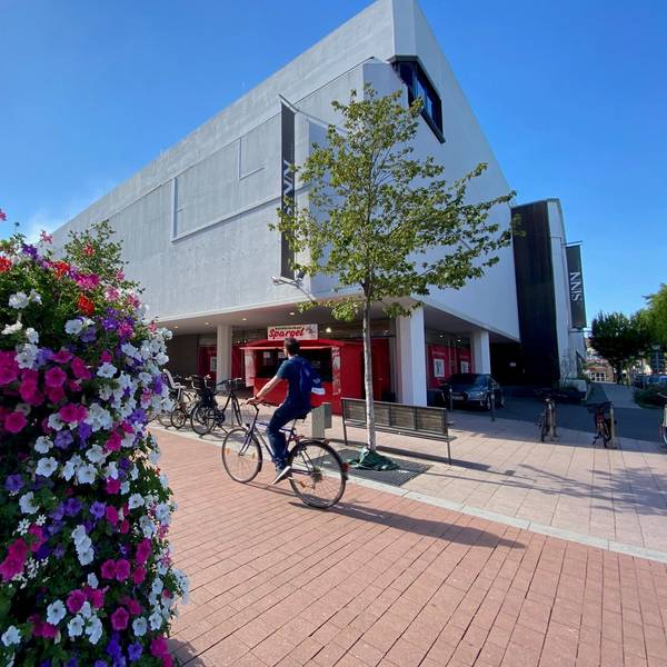 Zu sehen sind Blumen vor einem Gebäude in der Brühler Innenstadt.