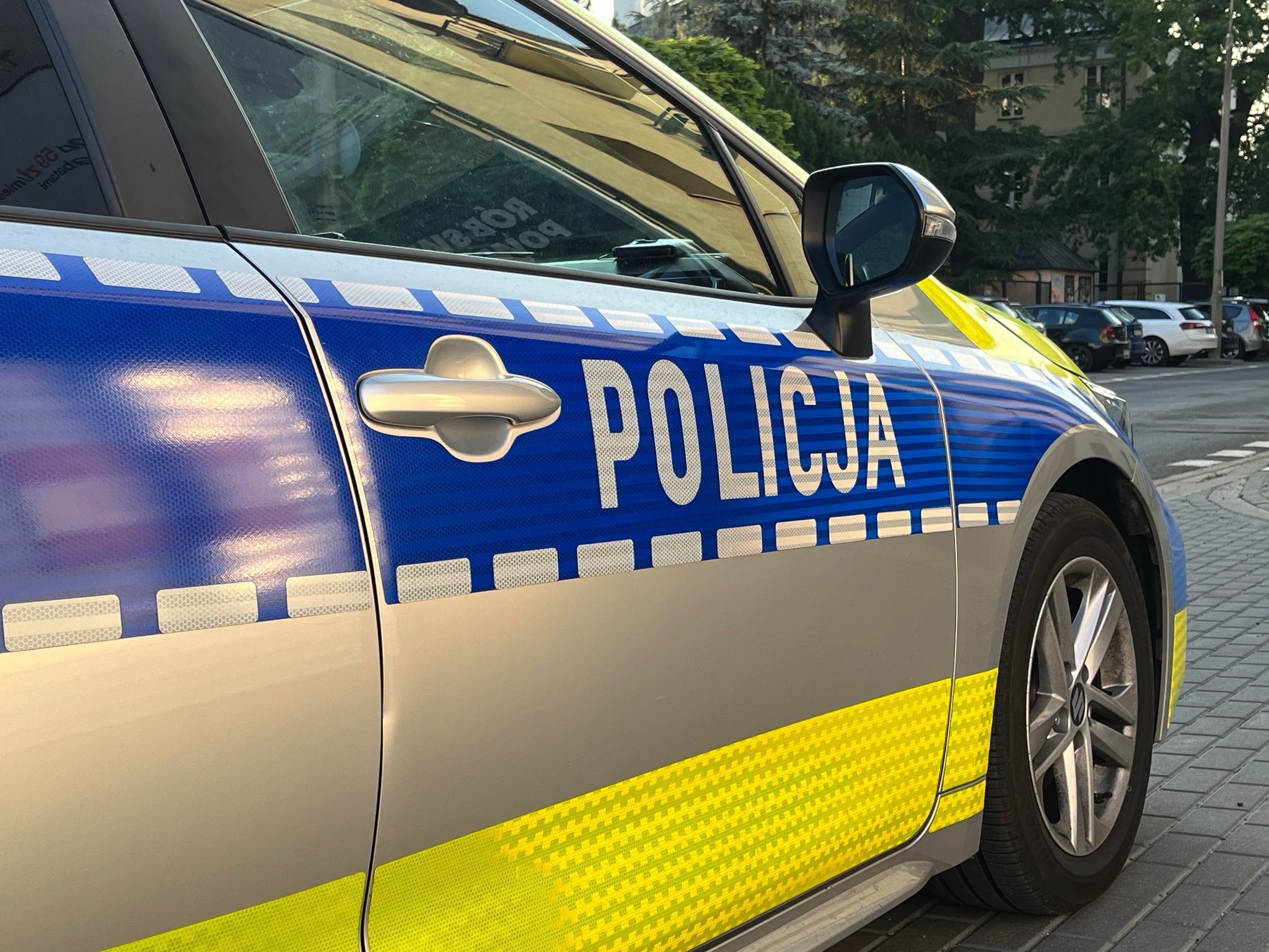Polizei in Polen