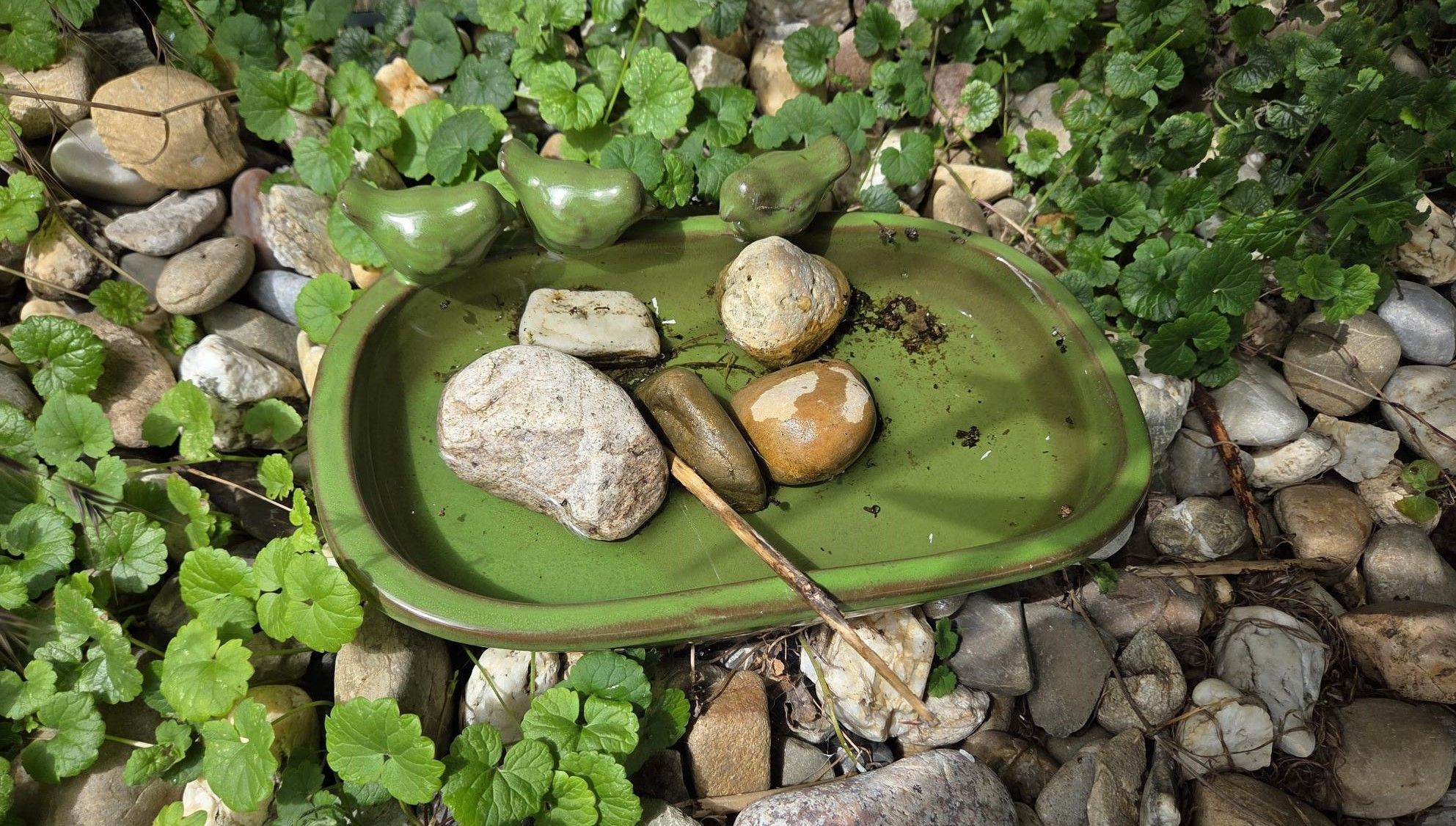 Wassetränke für Insekten und Vögel