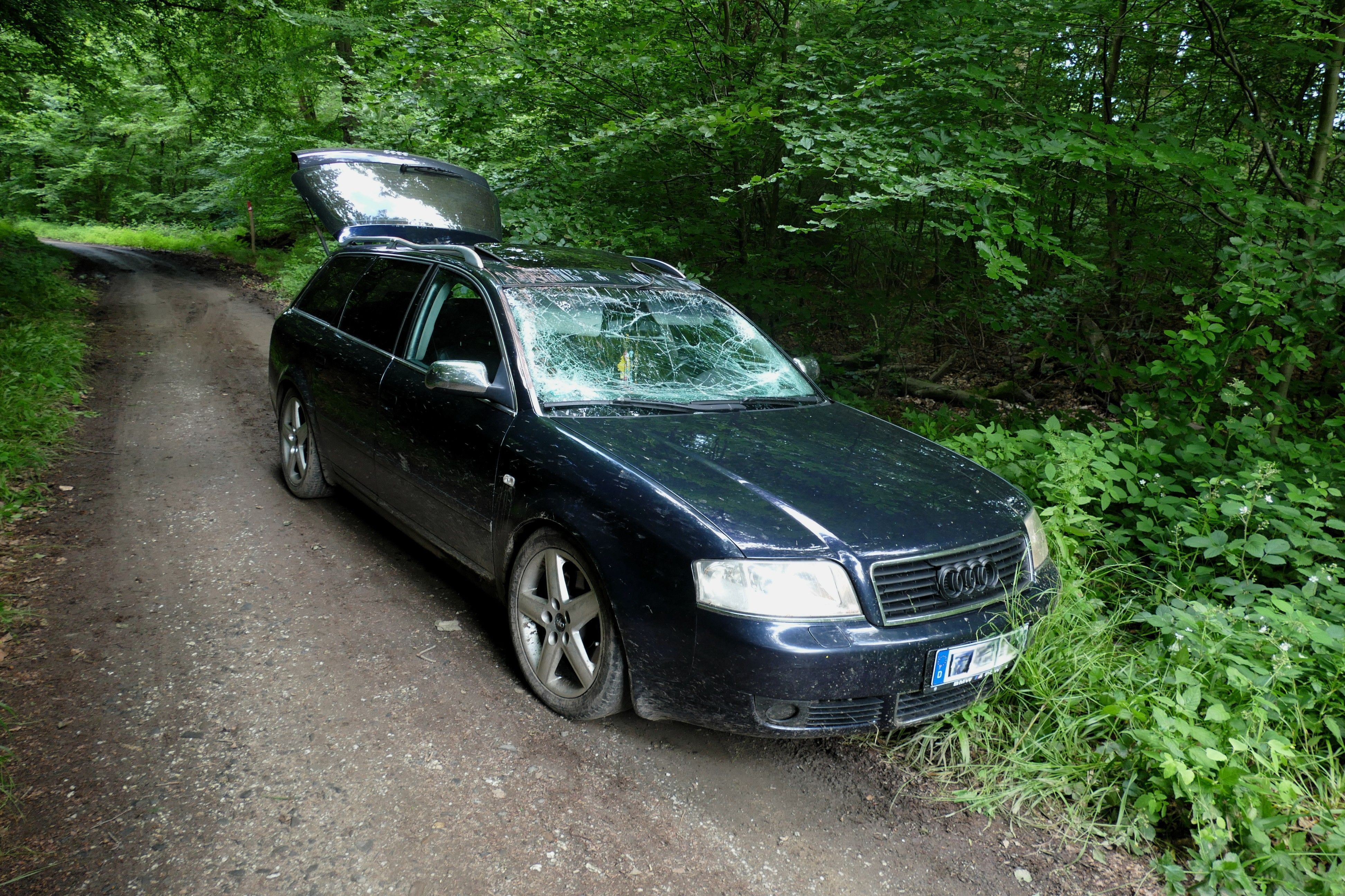 Auf dem Waldweg zwischen Troisdorf und Lohmar endete die Fahrt des Autos.