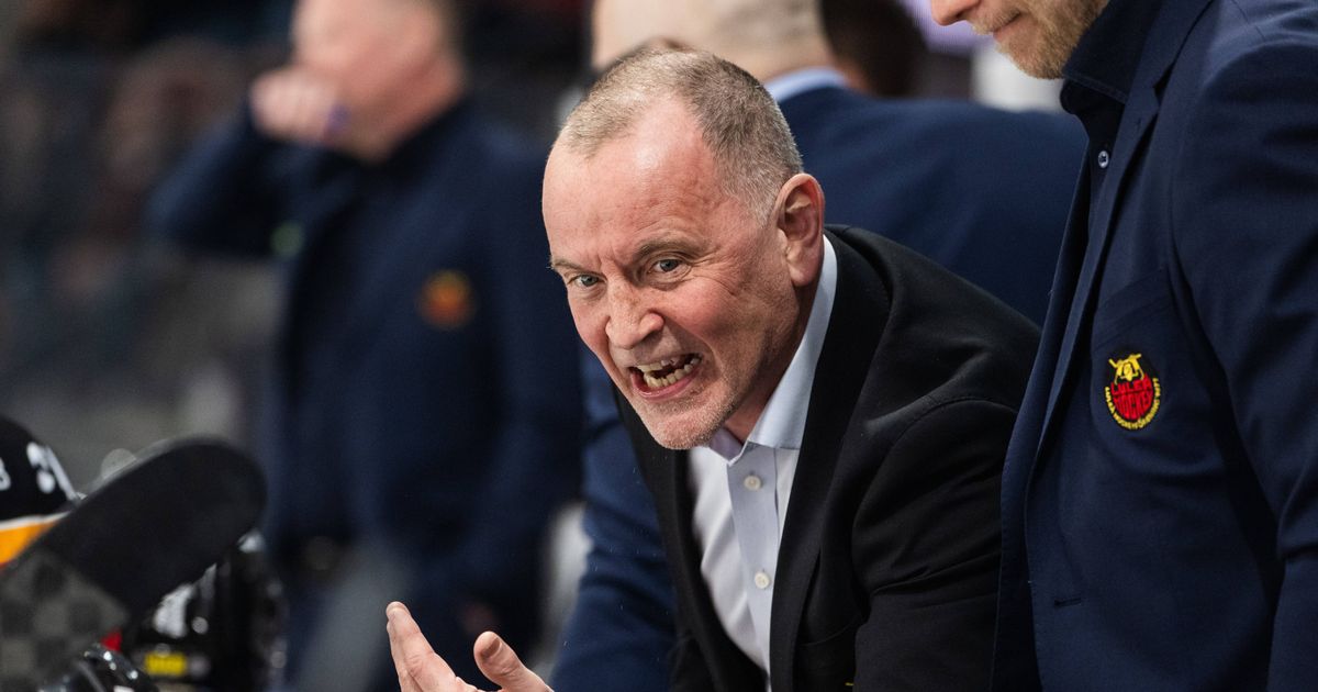 Neuer-Haie-Trainer-Thomas-Berglund-Es-war-einfach-Zeit-f-r-etwas-Neues-