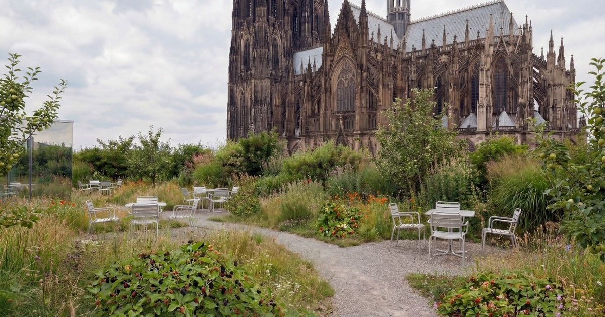 Nach-Absage-von-Yad-Vashem-Was-wird-aus-dem-RGM-Studienhaus-am-K-lner-Dom-