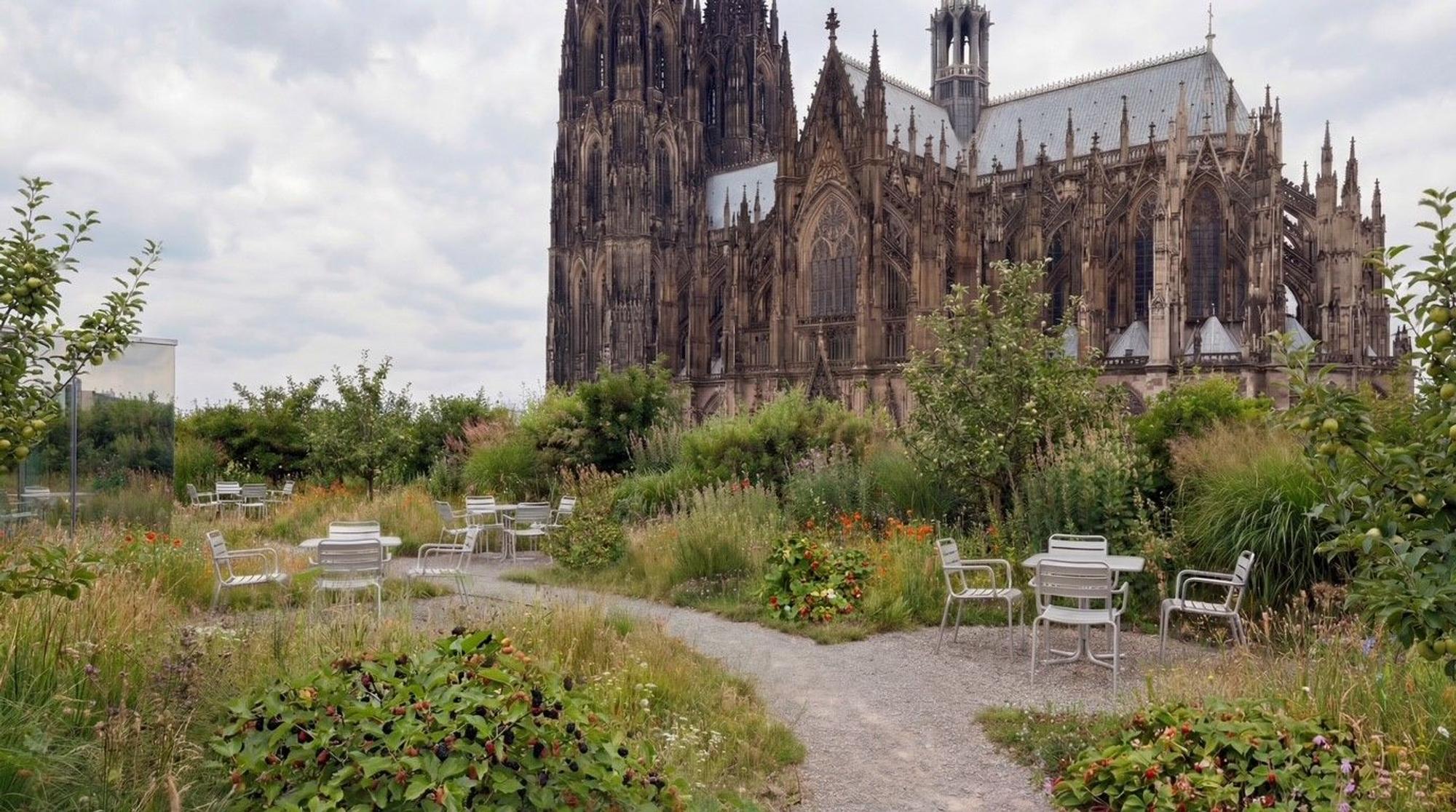 Visualisierung eines Dachgartens in der Nähe des Kölner Doms.