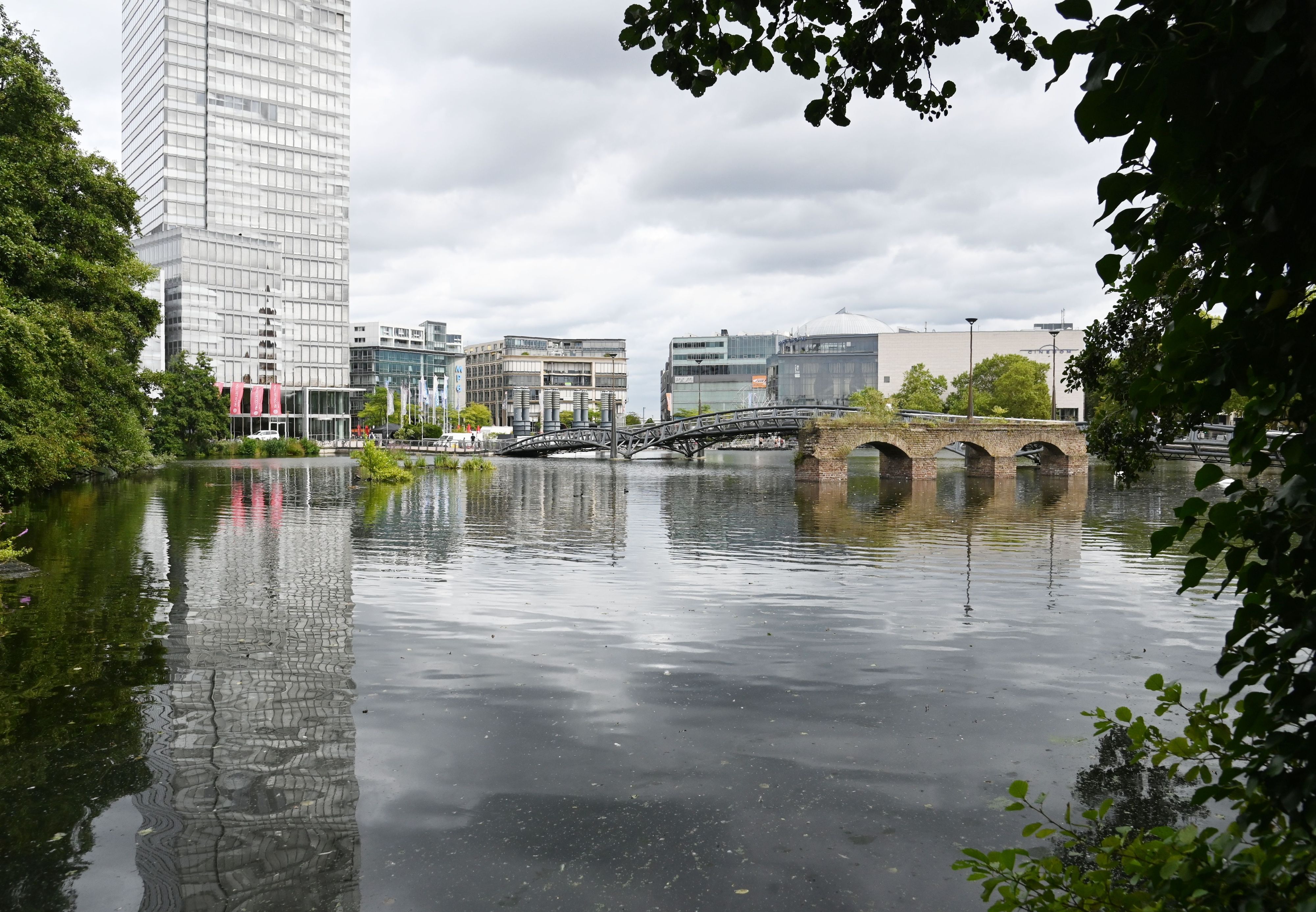09.08.2024 Köln. Der Weiher am Mediapark. Foto: Alexander Schwaiger