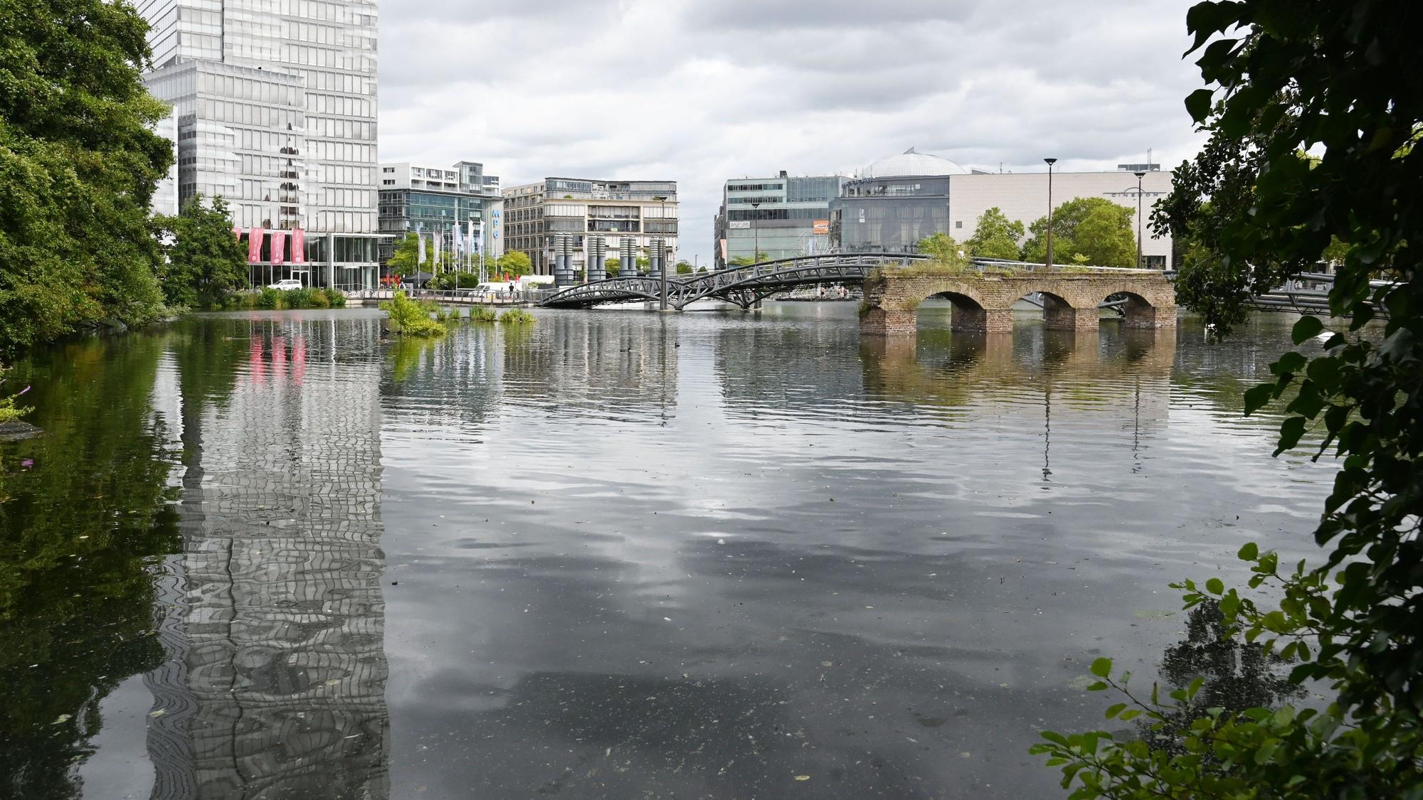 09.08.2024 Köln. Der Weiher am Mediapark. Foto: Alexander Schwaiger