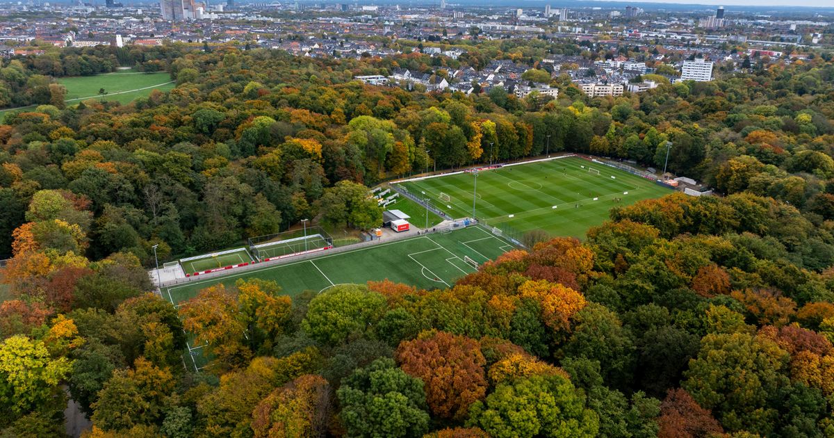 Expansion plans of 1. FC Köln: Court decision on the Geißbockheim now in ...