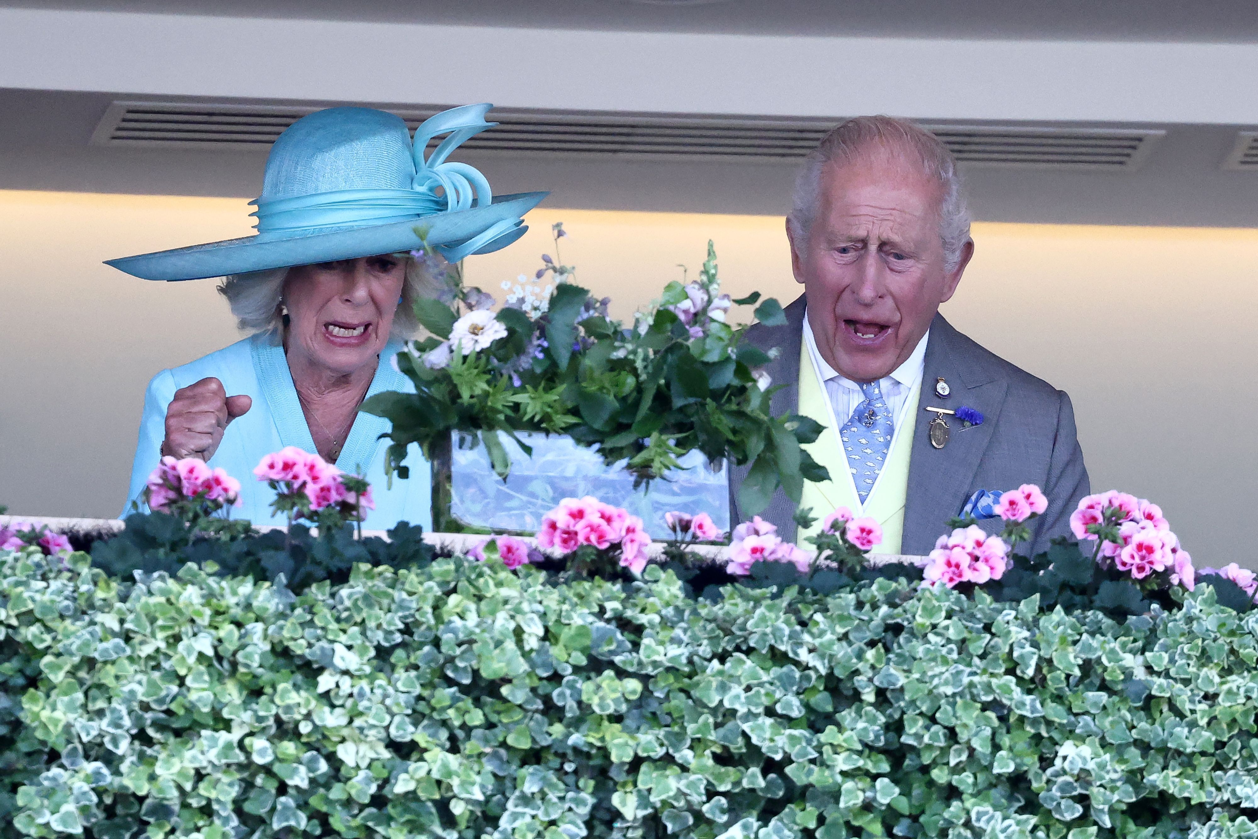 Königin Camilla und König Charles fiebern beim Royal Ascot mit.