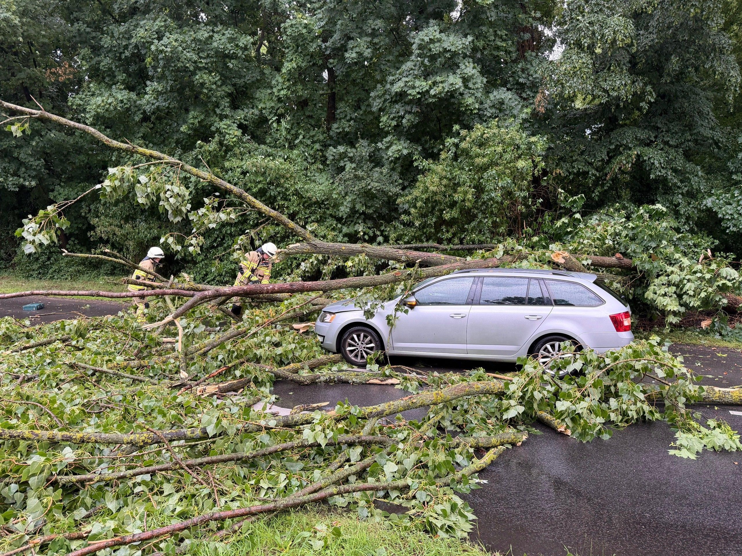 Durch eine Sturmböe wurde ein Baum auf dem Deutzer Ring entwurzelt und stürzte daraufhin auf die Straße.