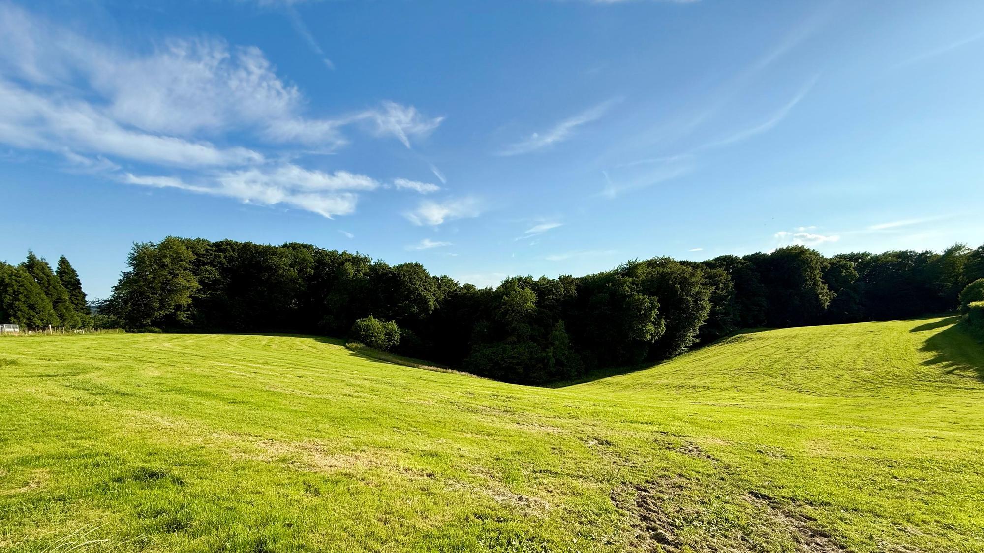 Waldrand in Burscheid