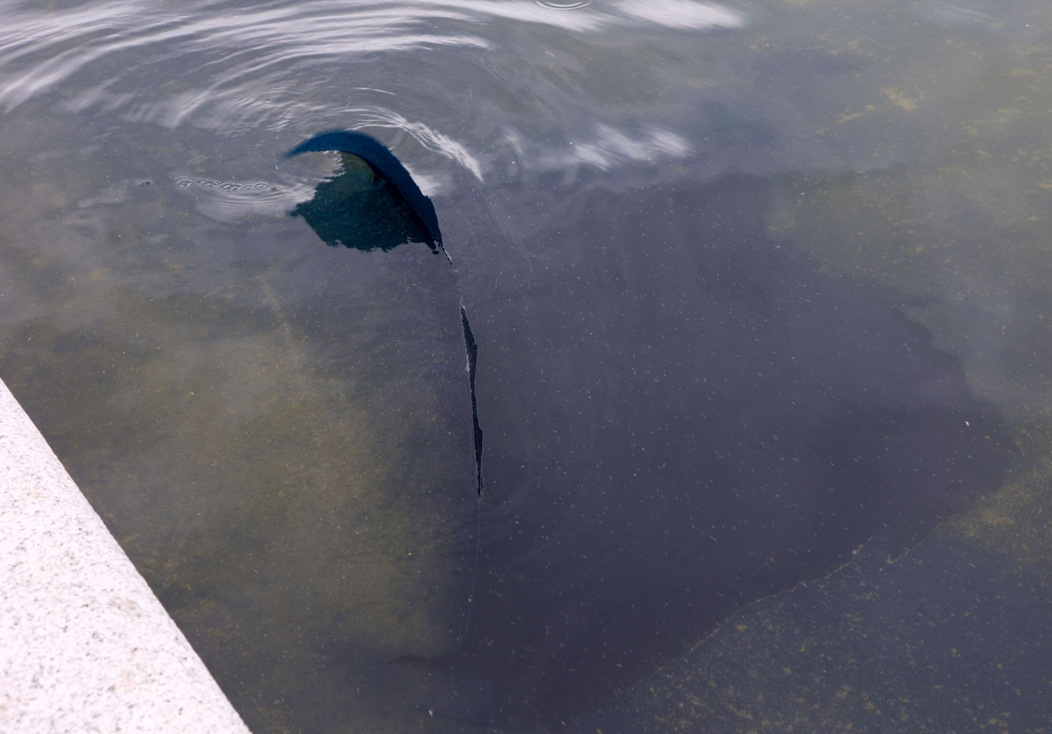 Reflecting Pool am Lincoln Memorial