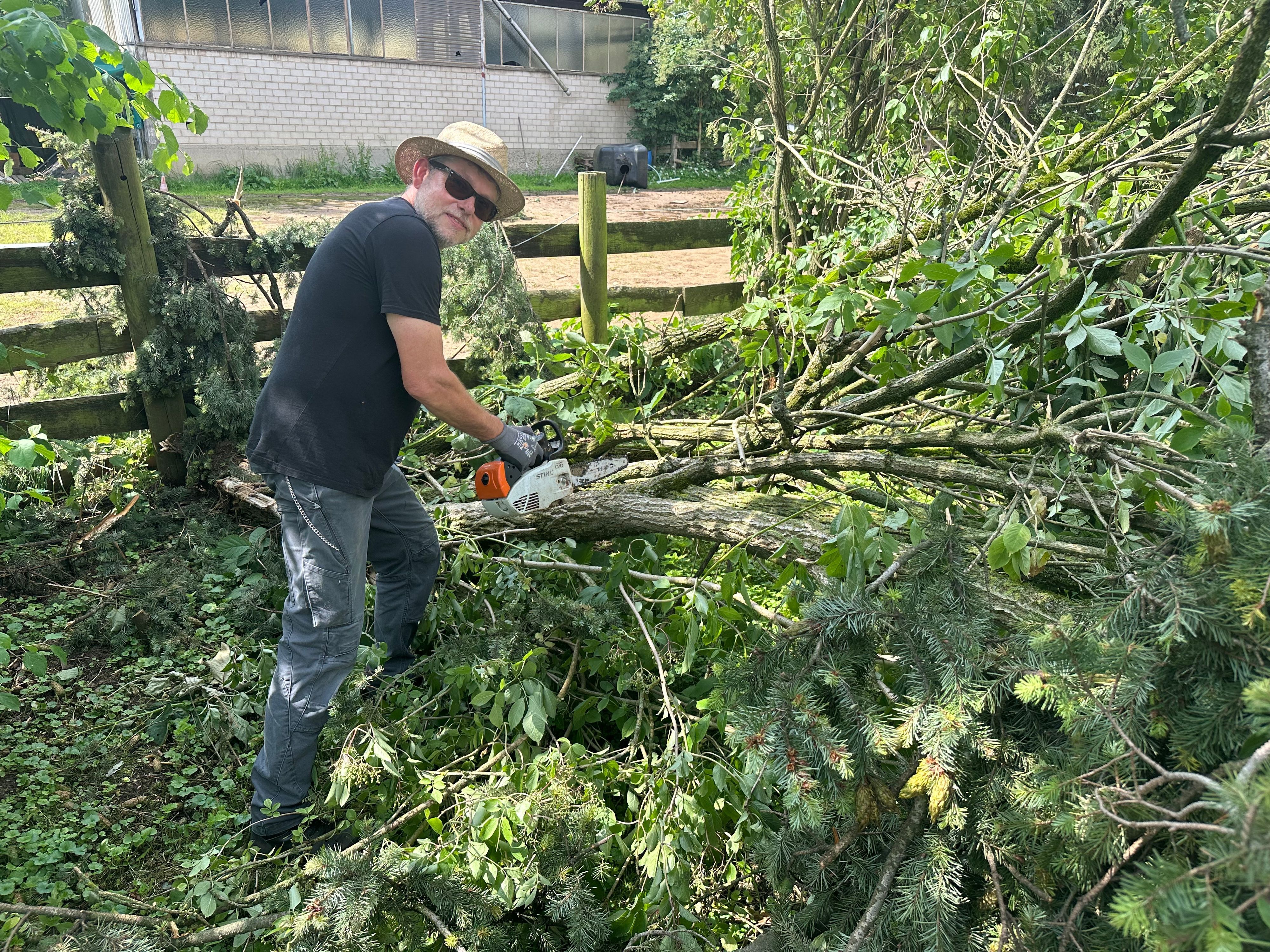 Der Sturm hat im Ponyhaufen Niederpleis gewütet und viel zerstört