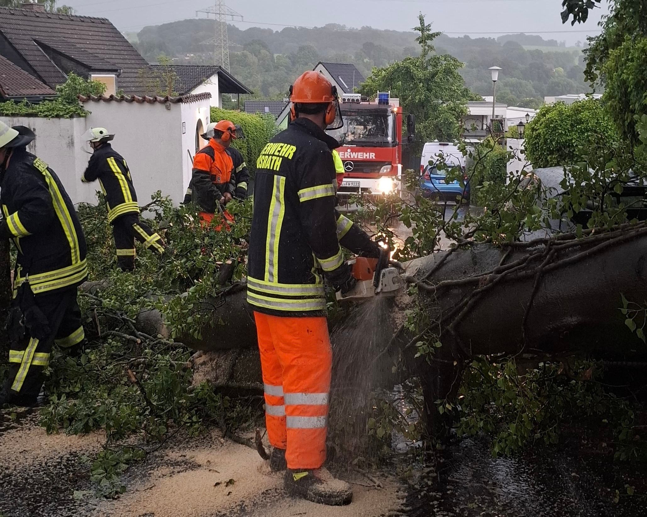 Baum auf Straße und Pkw.