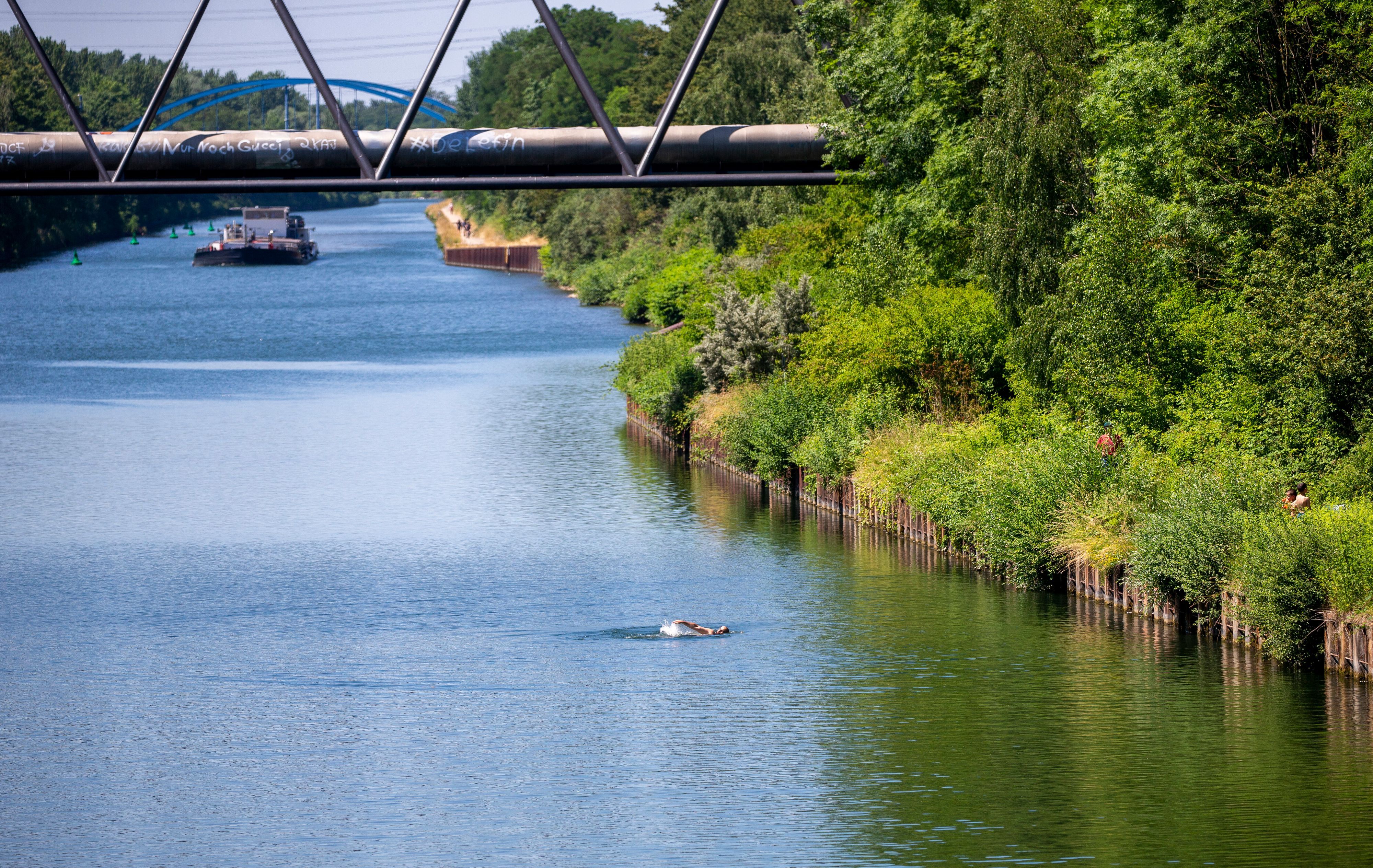 Ein Schwimmer im Rhein-Herne-Kanal (Archivfoto).