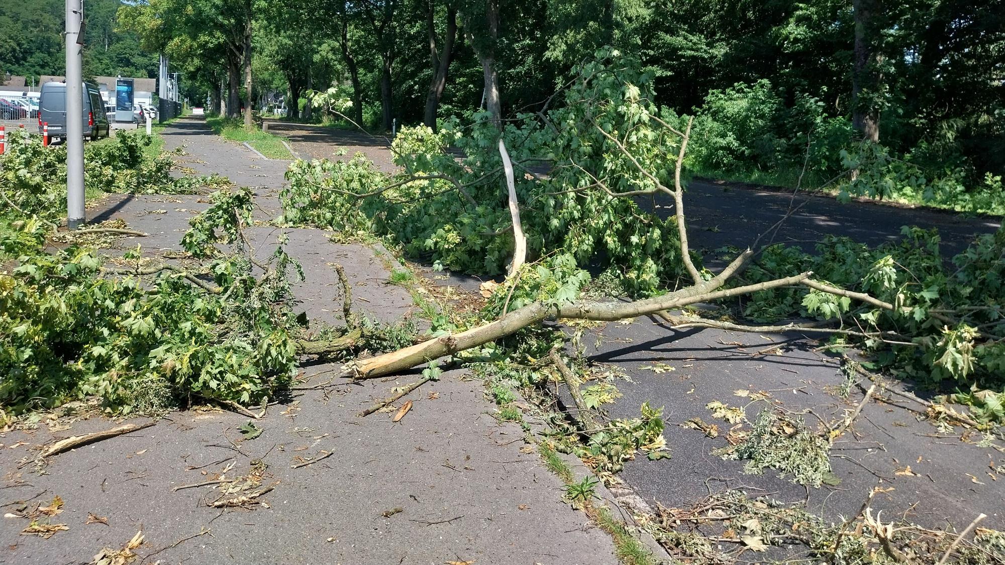 Ein abgebrochener Baum liegt auf der Wahnbachtalstraße.