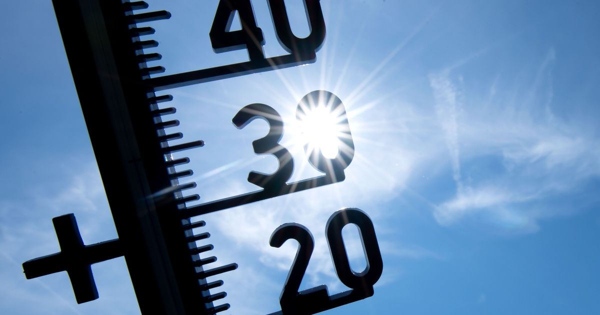 Temperaturen-ber-30-Grad-So-wirkt-sich-die-Hitzewelle-in-Rhein-Sieg-aus