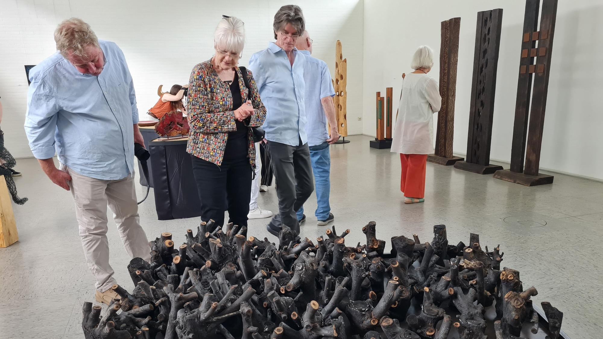 Eine Ausstellung in der Kunsthalle Lohmar