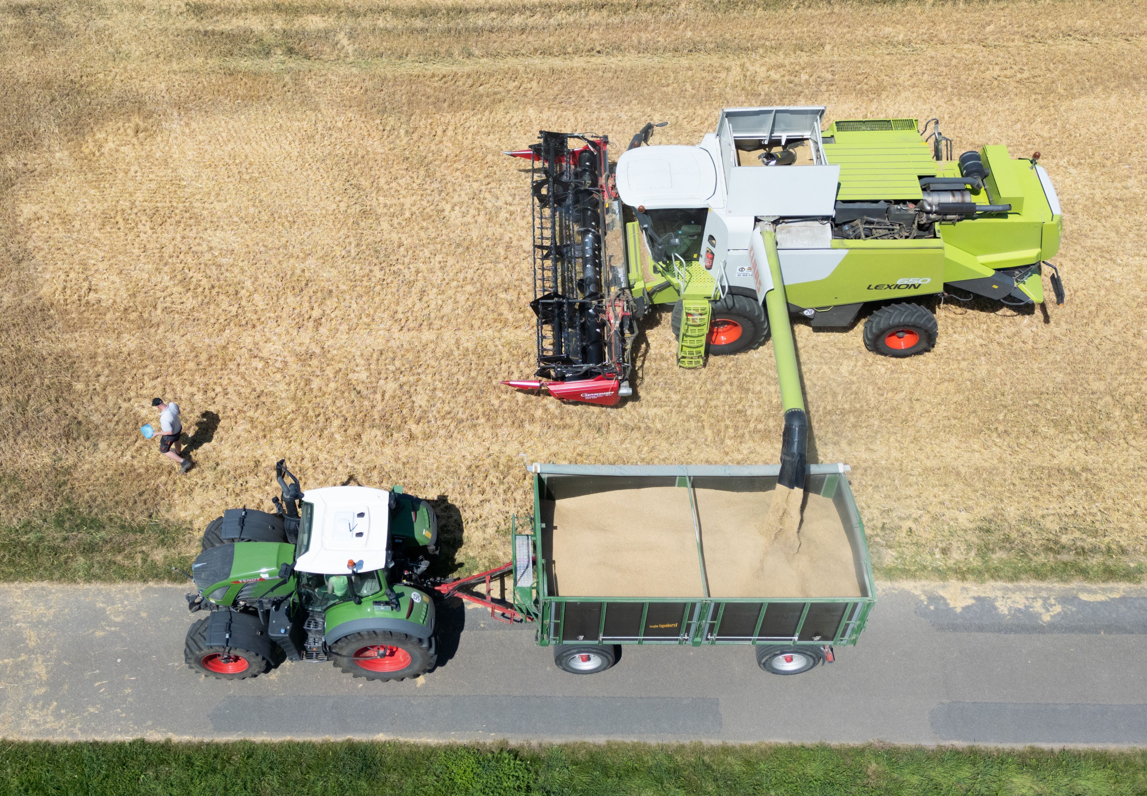 Mit einem Mähdrescher erntet ein Landwirt Getreide auf einem Feld bei Petershagen in Ostwestfalen (Luftaufnahme mit einer Drohne).