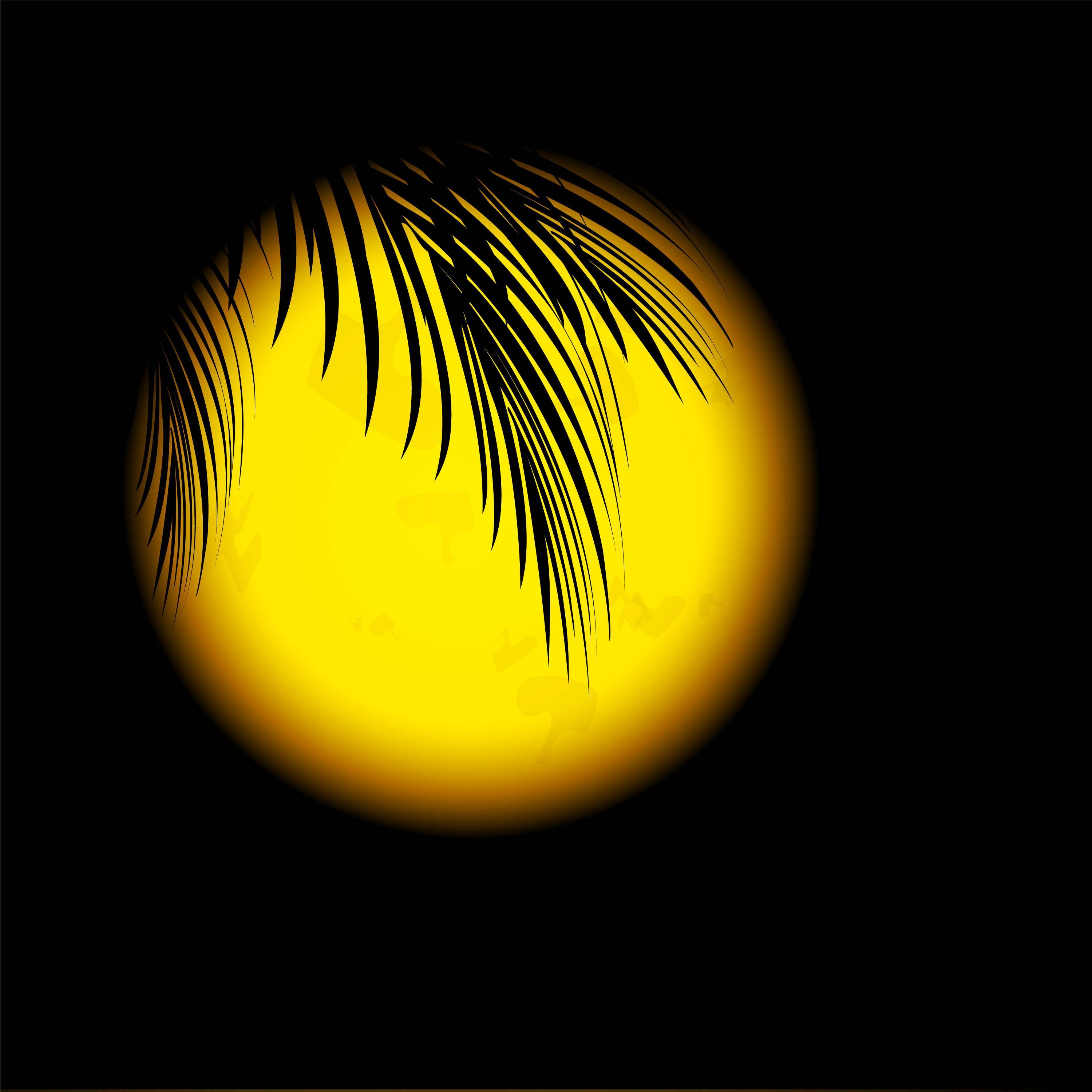 Eine Palme vor dem Mond.