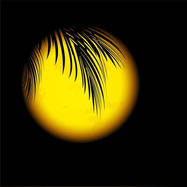 Eine Palme vor dem Mond.