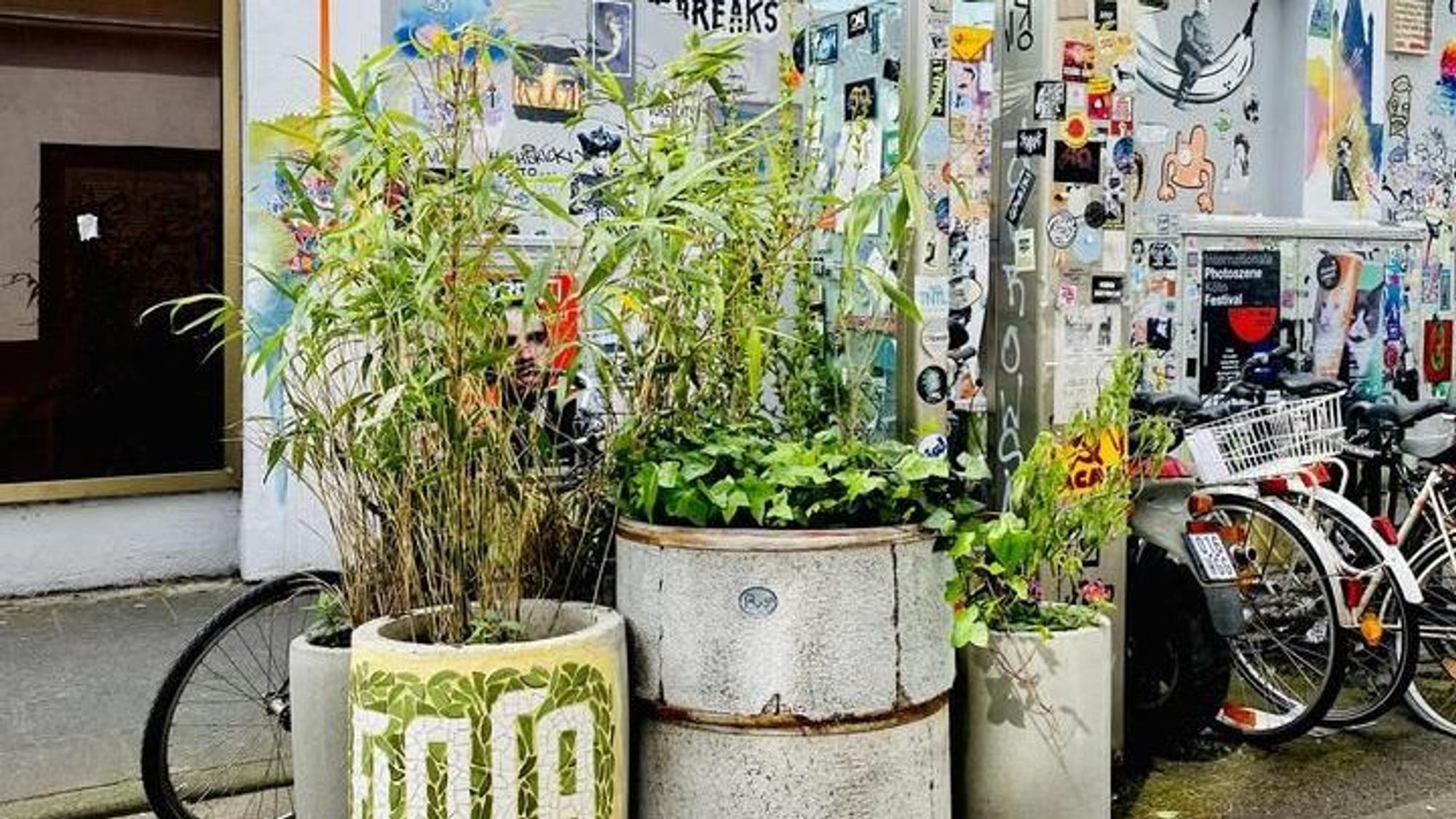 Drei Pflanzenkübel am Rande einer Straße neben Fahrrädern und Bürgersteig. Der linke Pflanzenkübel ist mit grünen und weißen Mosaikplättchen dekoriert, sodass der Schriftzug „Flora“ entsteht.