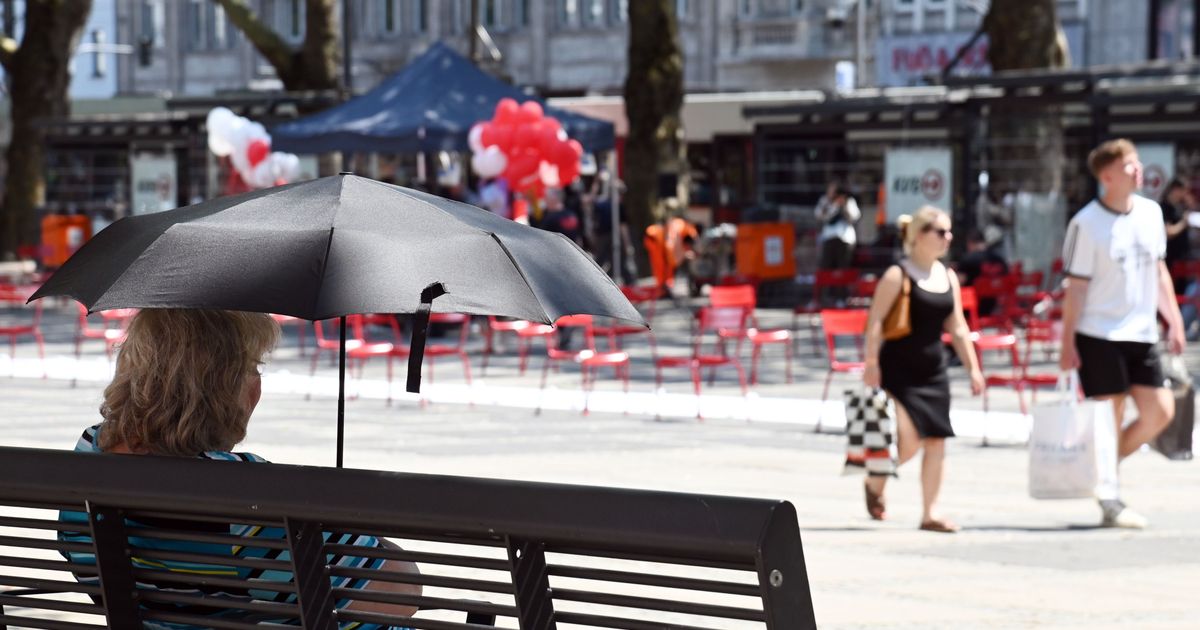 -rtliche-Hitzegewitter-Temperaturen-entlang-des-Rheins-steigen-auf-bis-zu-40-Grad