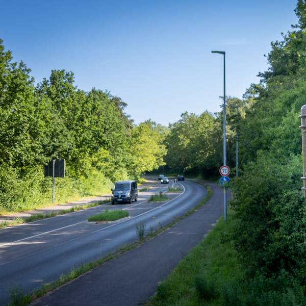Das Foto zeigt ein Zählgerät an einem Laternenmast an der Frechener Straße.