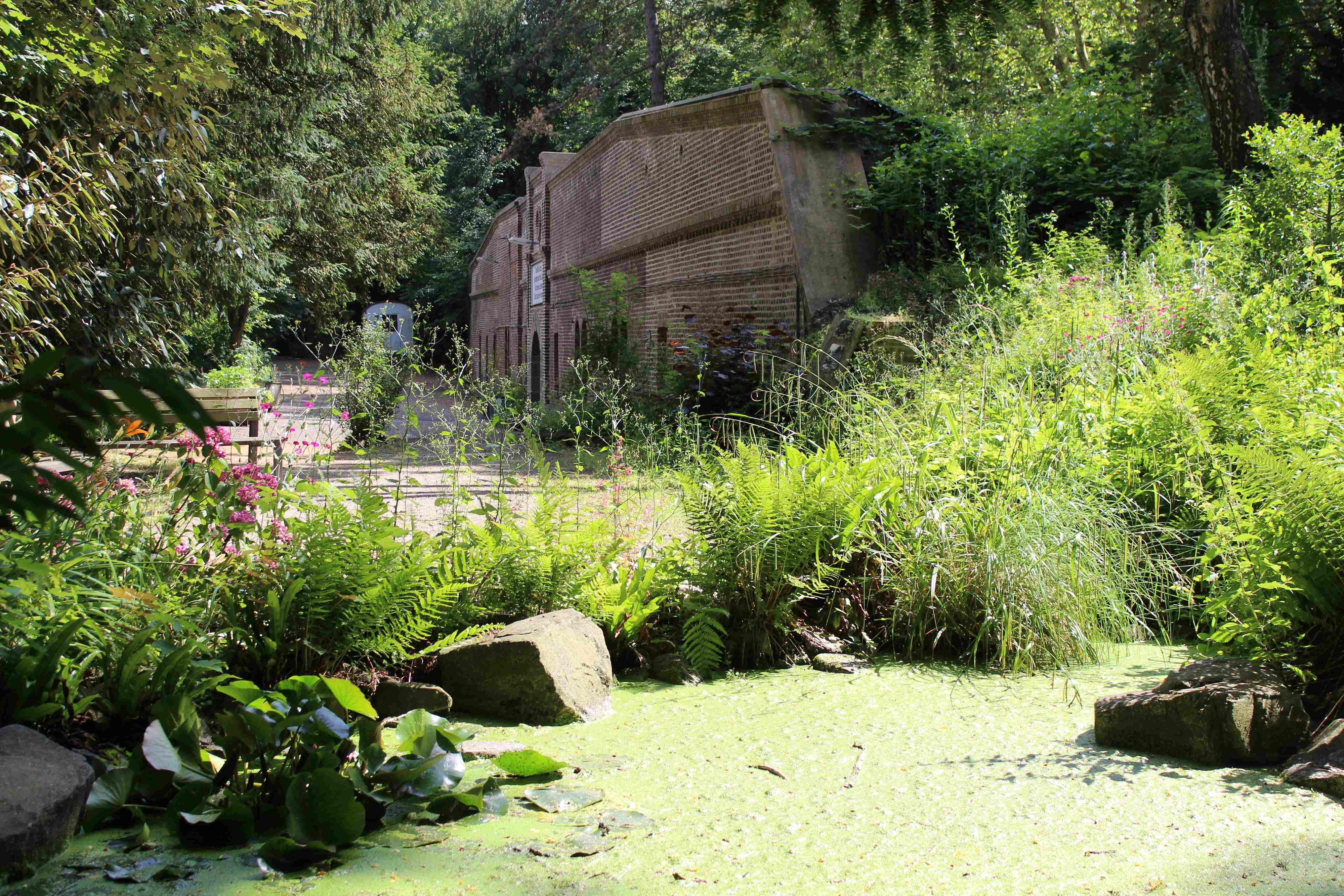 Der Felsengarten mit Weiher gehört zu den Sehenswürdigkeiten der städtischen Freiluft- und Gartenarbeitsschule, die seit 101 Jahren Kindern die Natur näherbringt.