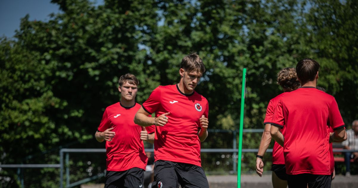 Fallmann and Swider arrive: FC Viktoria Köln benefits from its good ...