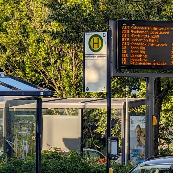 Das Foto zeigt die Haltestellenfahne neben der Fahrgastinfotafel.