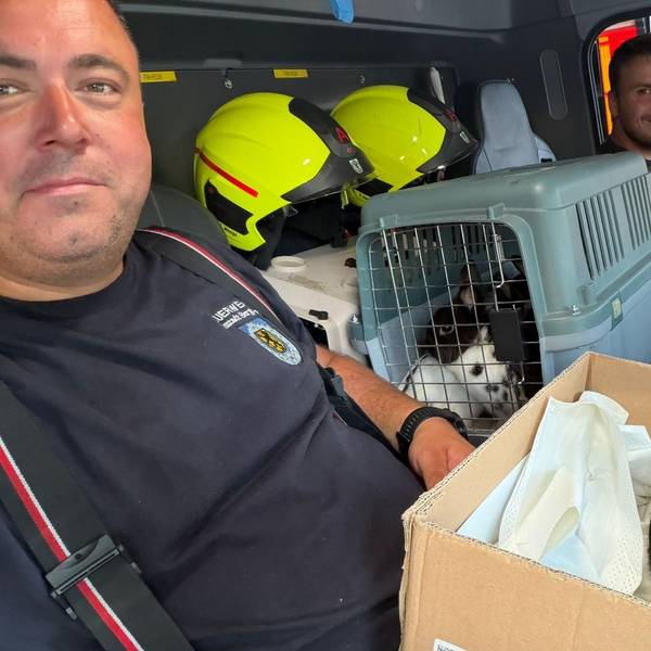 Zu sehen sind zwei Feuerwehrleute mit Kaninchen in einem Feuerwehrfahrzeug.