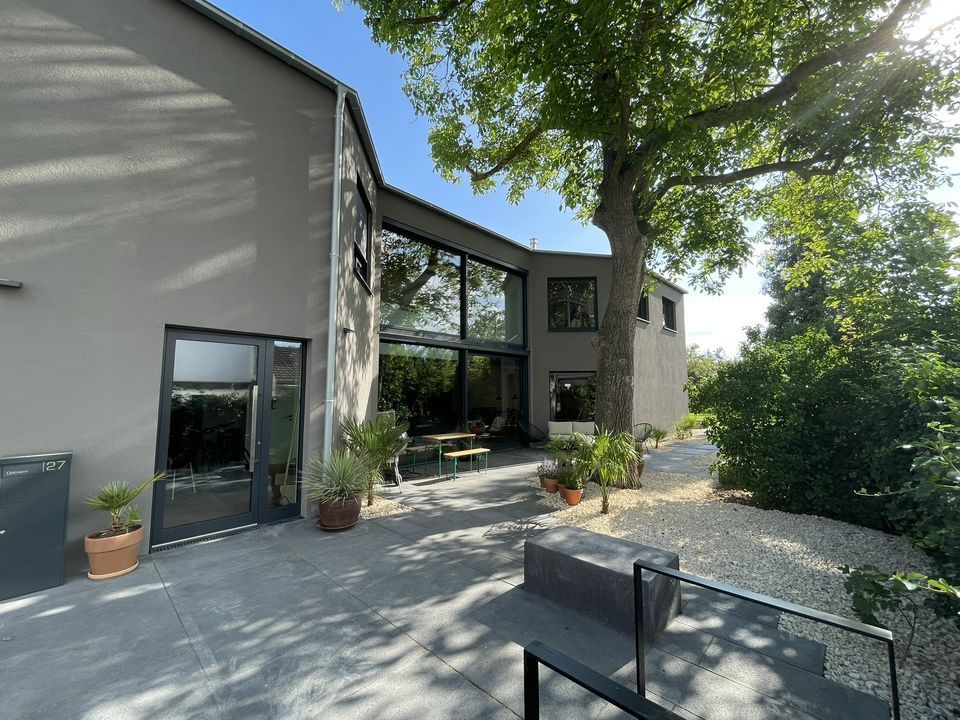 Zum Tag der Architektur öffnet die Architektin Anja Oelmann ihr eigenes Haus, das sie mit ihrem Bonner Architekturbüro 5 BWS um einen Baum herum konzipiert und gebaut hat.