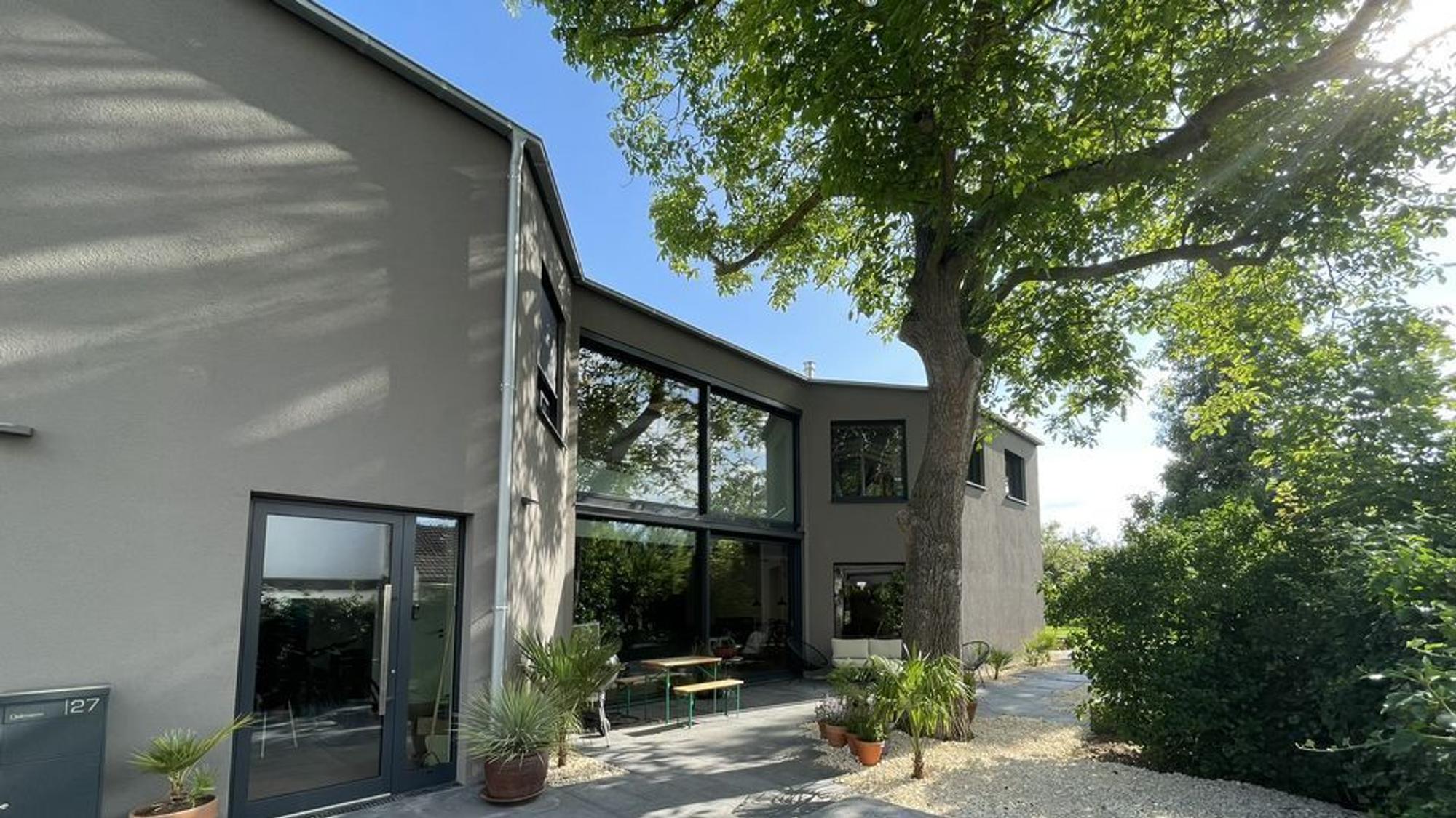 Zum Tag der Architektur öffnet die Architektin Anja Oelmann ihr eigenes Haus, das sie mit ihrem Bonner Architekturbüro 5 BWS um einen Baum herum konzipiert und gebaut hat.