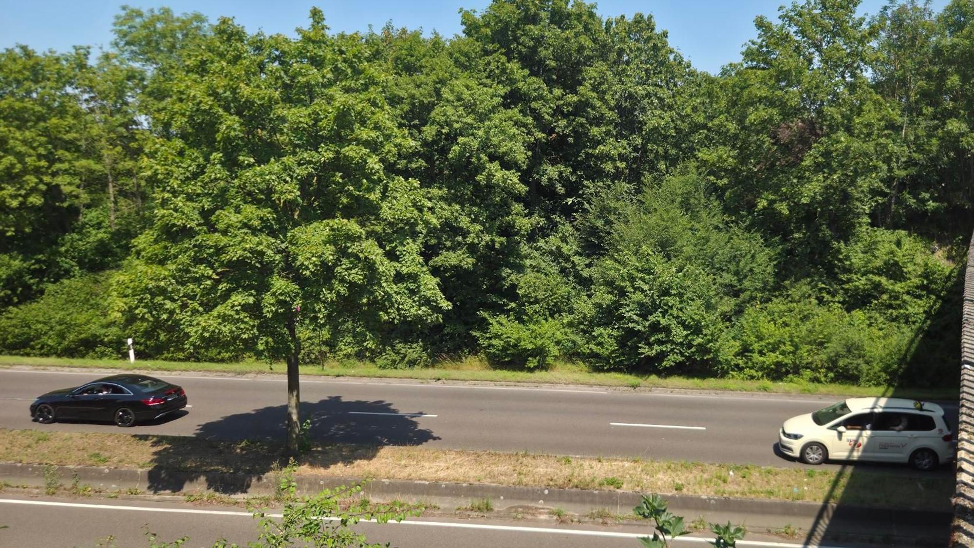 An dieser Stelle auf dem Militärring in Köln soll eine neue Ausfahrt entstehen.