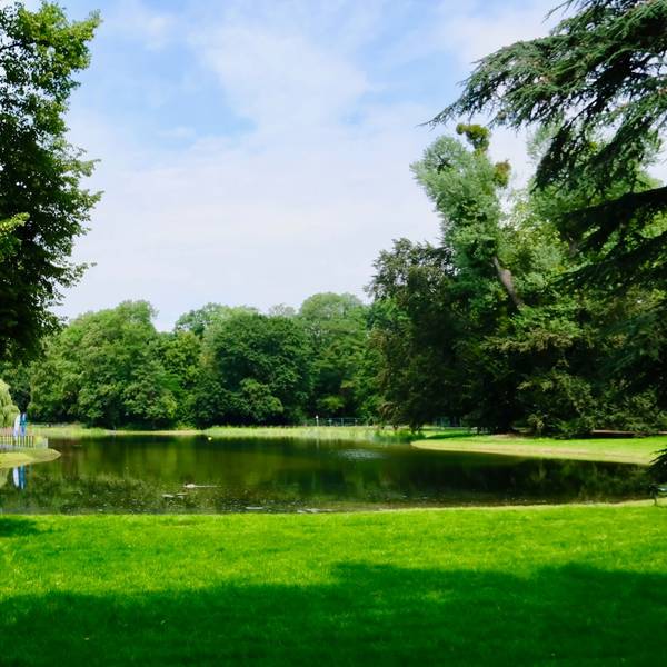 Der Weiher im Klettenbergpark ist wieder ein idyllischer Ort.