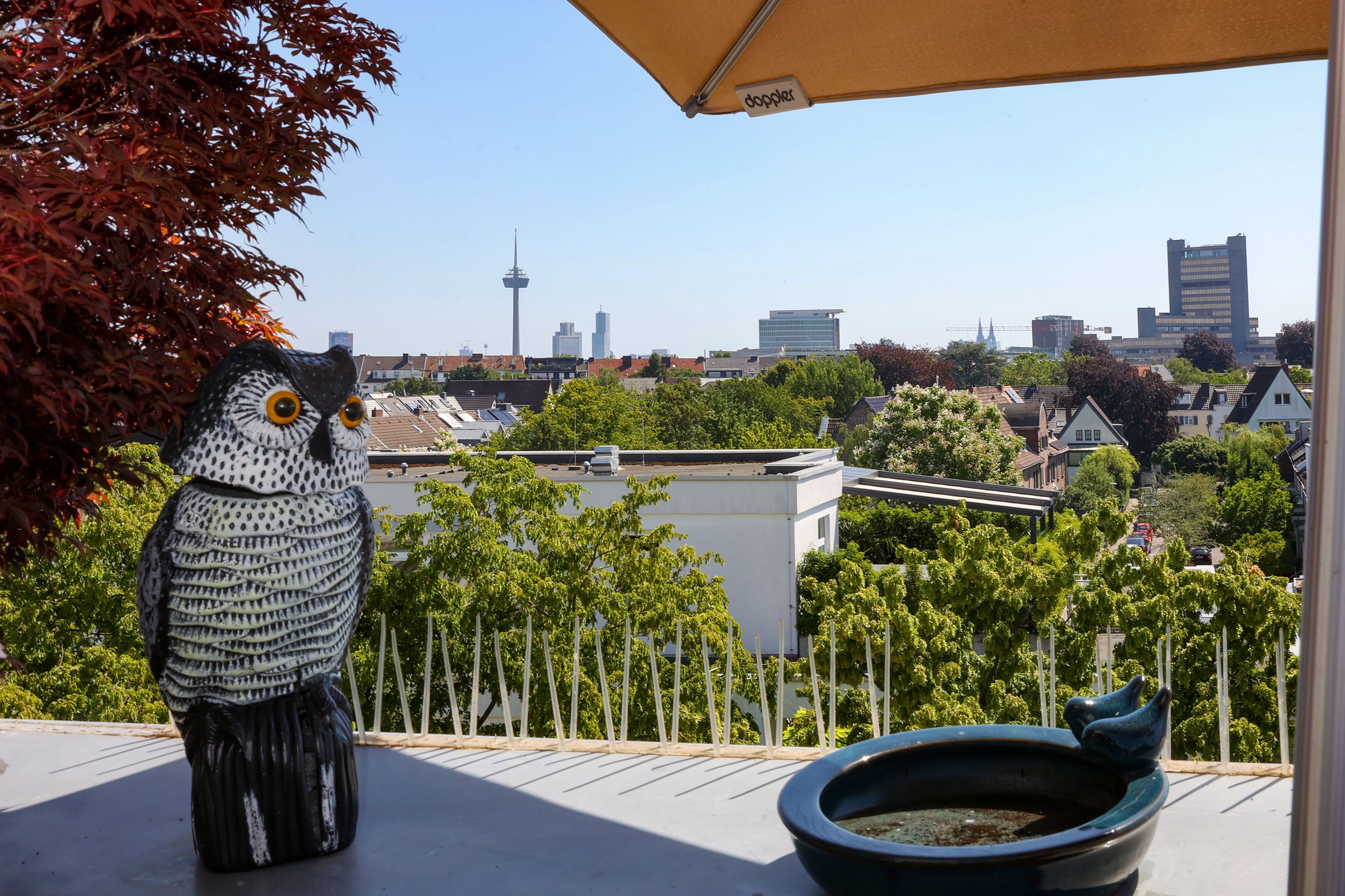 Blick auf die Skyline von Köln.