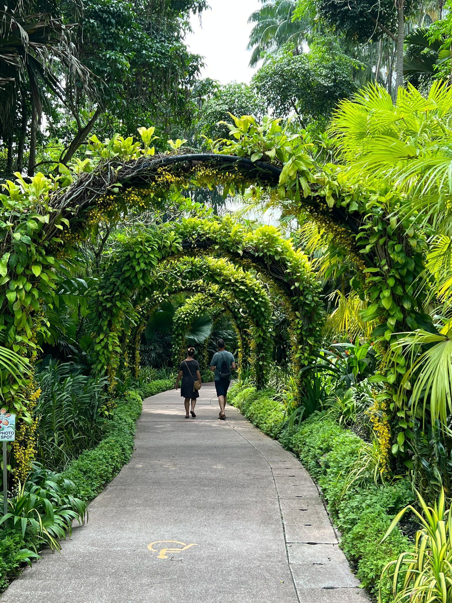 Singapur gilt als eine der grünsten Metropolen der Welt. (Archivbild)