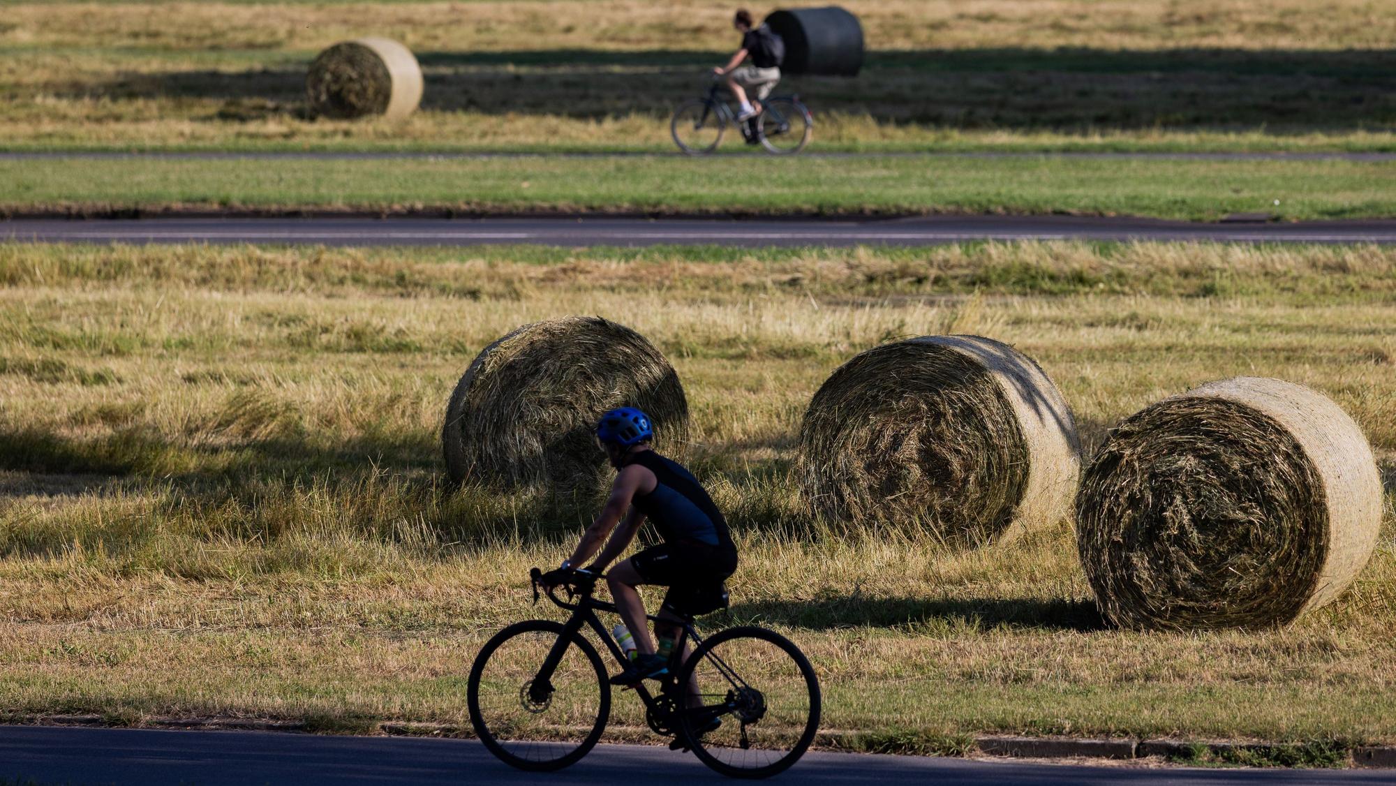 Köln: Radfahrer fahren am Dienstag (23. Juni) bei Hitze am Aachener Weiher an Heuballen vorbei.