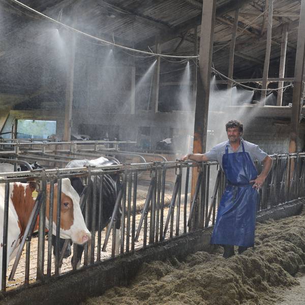 Landwirt Thomas Wester steht am Futtertisch im Freilaufstall auf dem Westerhof in Overath-Kotten.