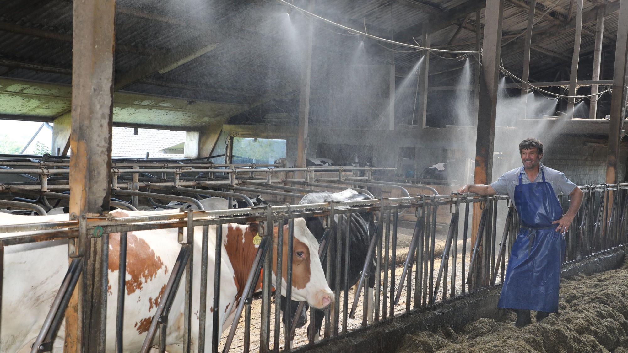 Landwirt Thomas Wester steht am Futtertisch im Freilaufstall auf dem Westerhof in Overath-Kotten.