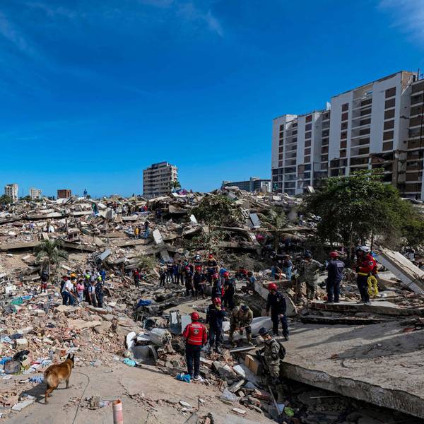 Ein Rettungshund sucht in den Trümmern eines eingestürzten Gebäudes in Caraballeda im Bundesstaat La Guaira, Venezuela, nach Leichen. Tausende Rettungskräfte, Angehörige und Freiwillige graben Tag und Nacht durch Berge aus Beton, um Überlebende der Erdbeben zu finden.