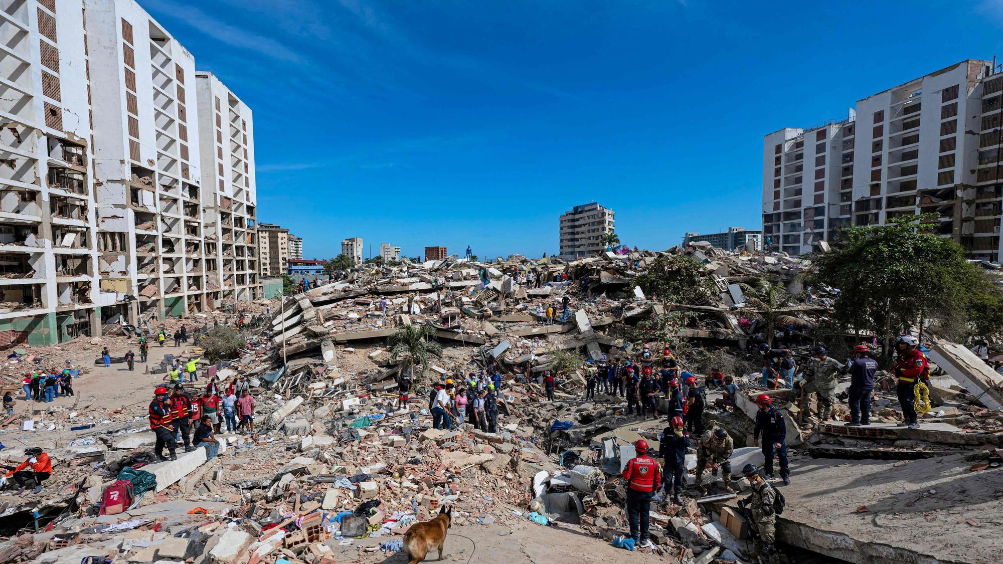 Ein Rettungshund sucht in den Trümmern eines eingestürzten Gebäudes in Caraballeda im Bundesstaat La Guaira, Venezuela, nach Leichen. Tausende Rettungskräfte, Angehörige und Freiwillige graben Tag und Nacht durch Berge aus Beton, um Überlebende der Erdbeben zu finden.
