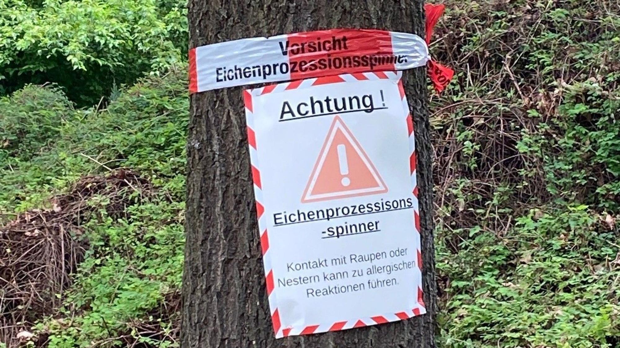 Ein Schild „Achtung Eichenprozessionsspinner“ hängt am Baum in der Gemeinde Wachtberg.