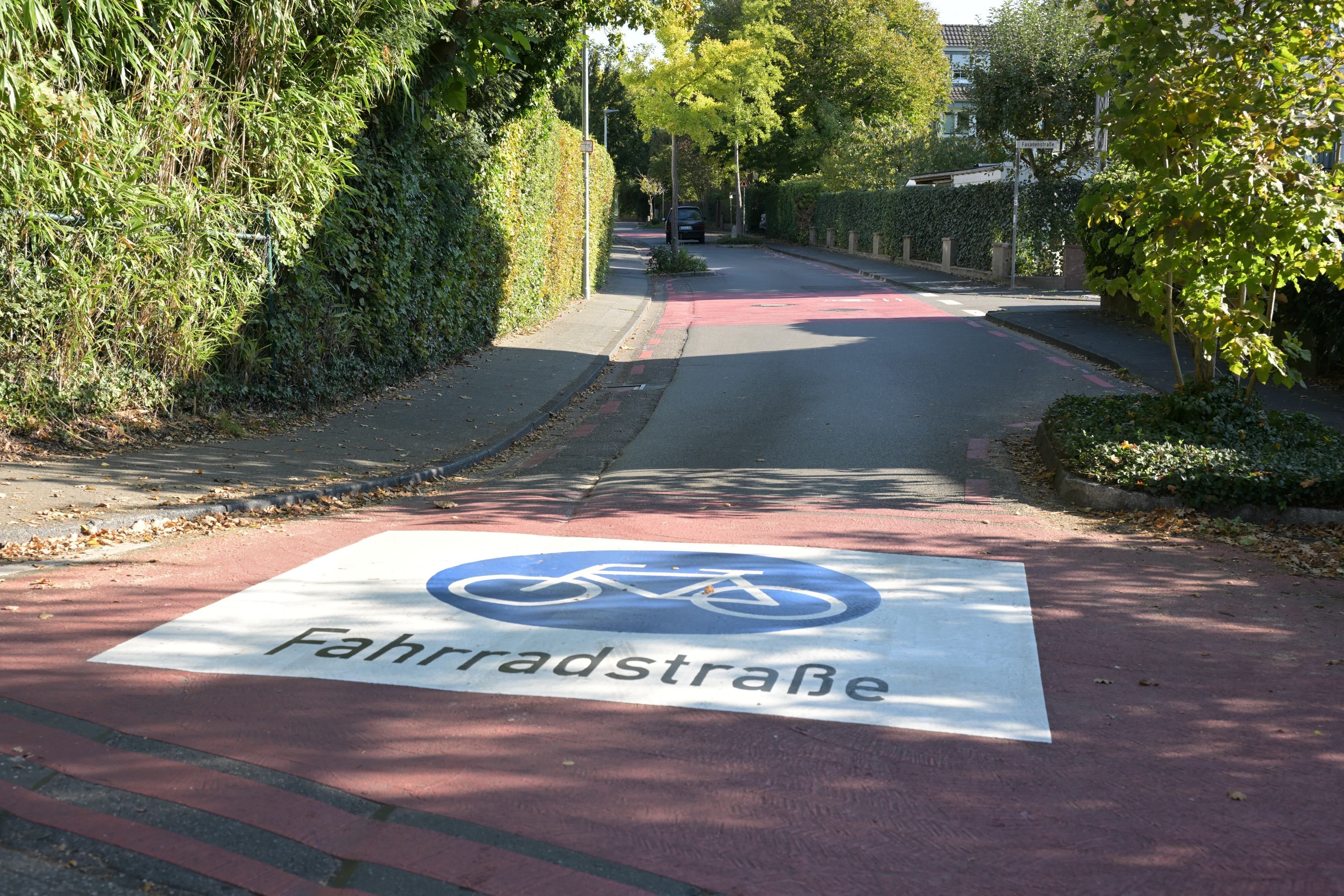Das Foto zeigt eine Markierung für eine Fahrradstraße