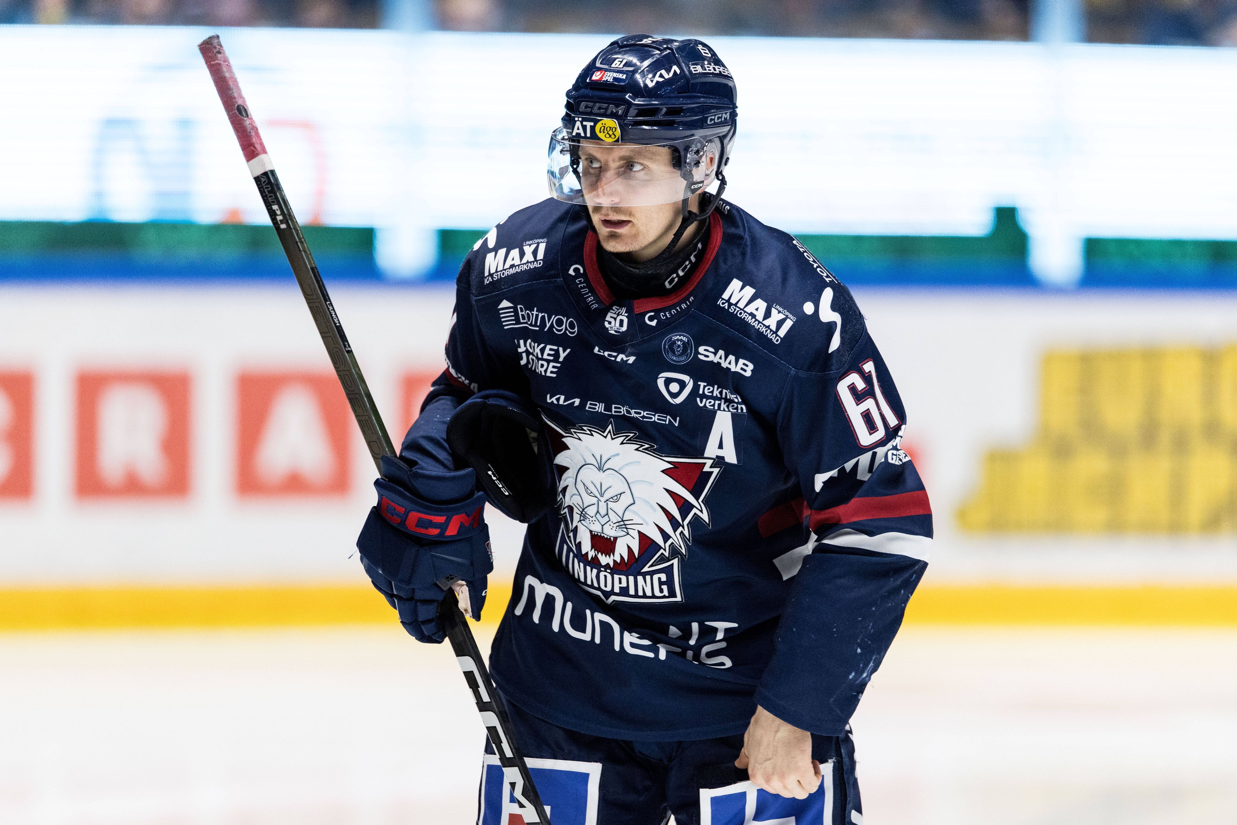 Erfahrener-Schwede-K-lner-Haie-verpflichten-Center-Markus-Ljungh