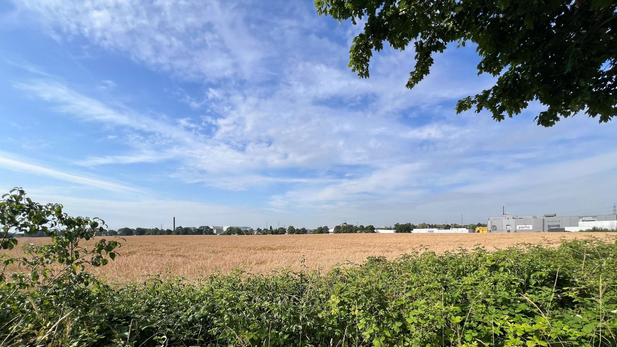 Auf der bis dato landwirtschaftlich genutzten Fläche an der Hansestraße/Maarhäuser Weg im Porzer Stadtteil Eil plant Lidl ein neues Logistikzentrum.