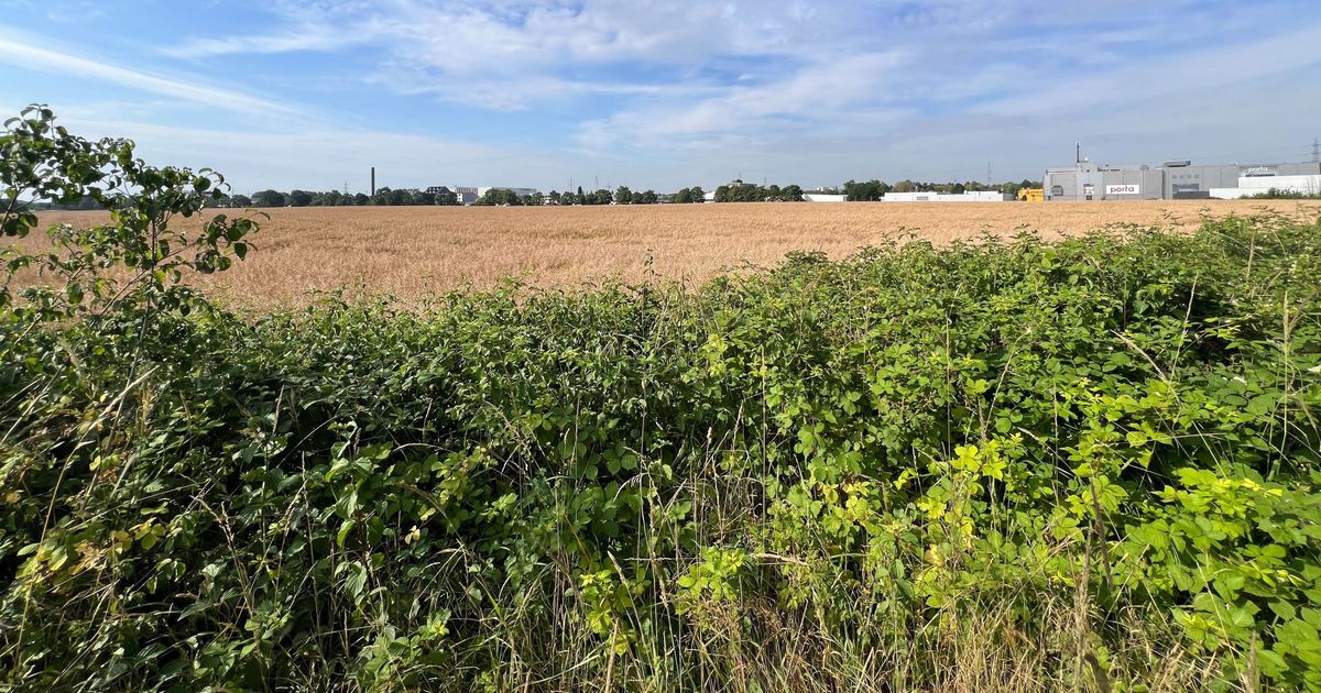 Öffentliche Beteiligung: Lidl will in Porz neues Logistikzentrum bauen